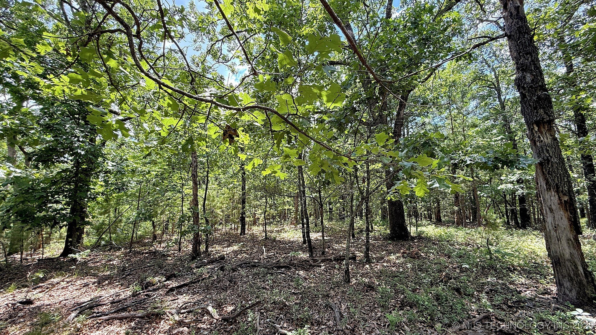 2210 Sunny Circle Property Photo 9