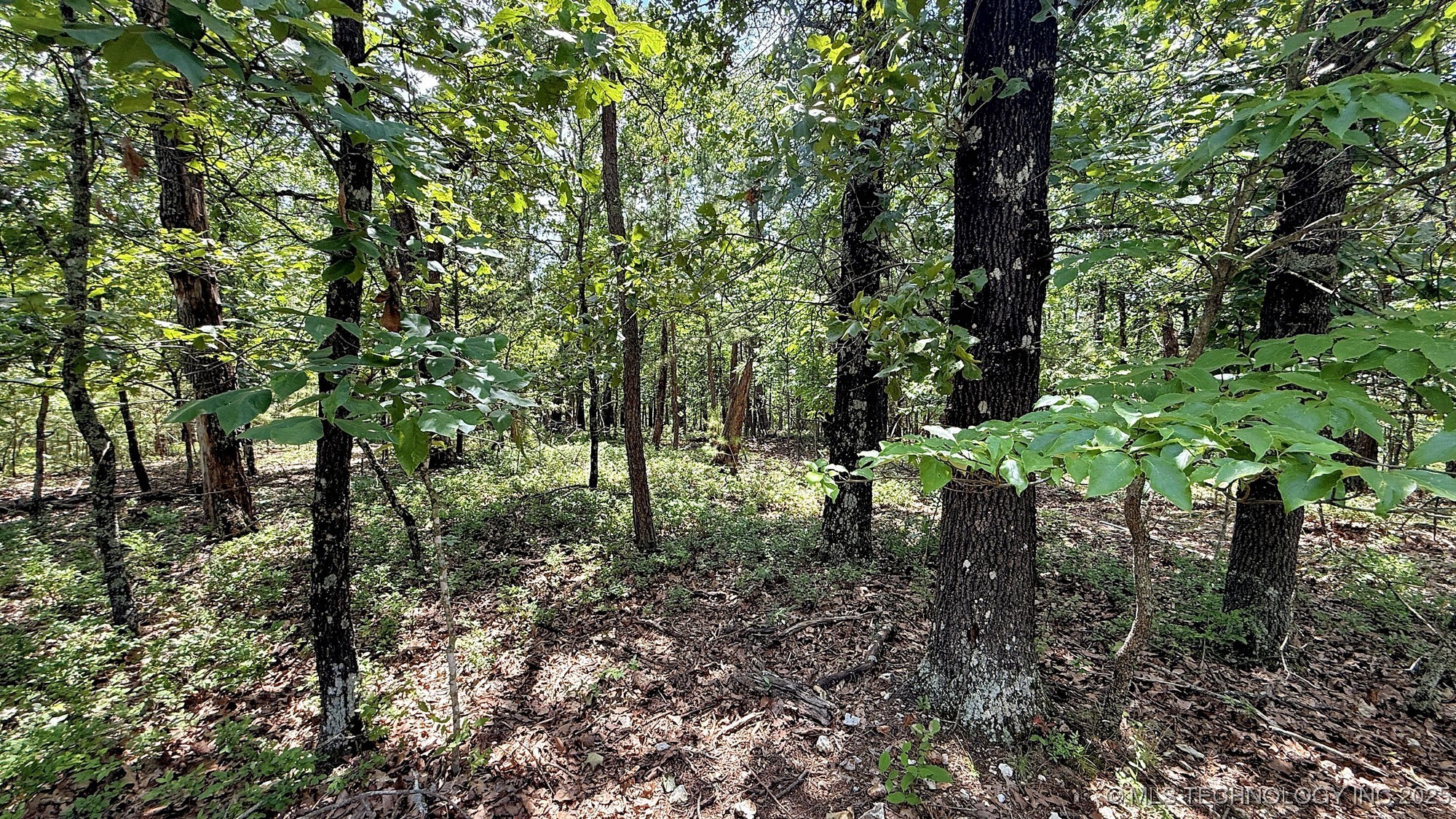 2210 Sunny Circle Property Photo 10