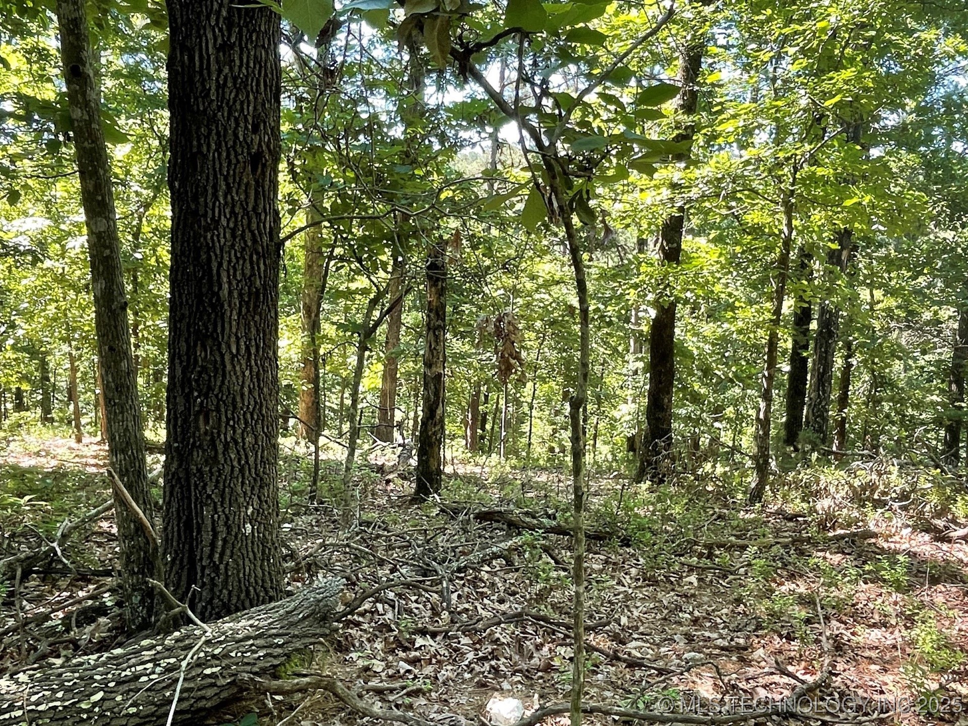 1372 Palomino Lane Property Photo 2