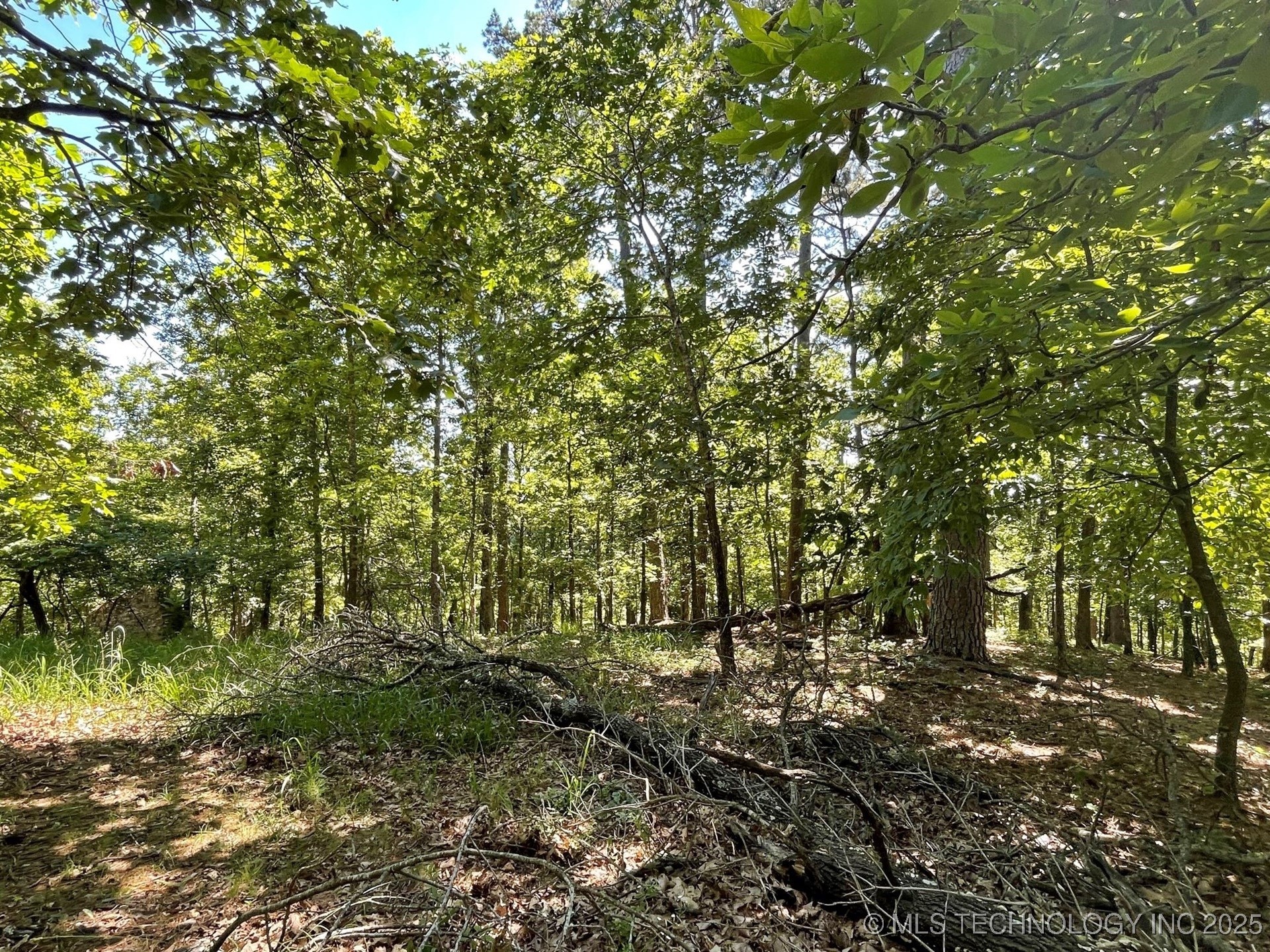 1372 Palomino Lane Property Photo 3