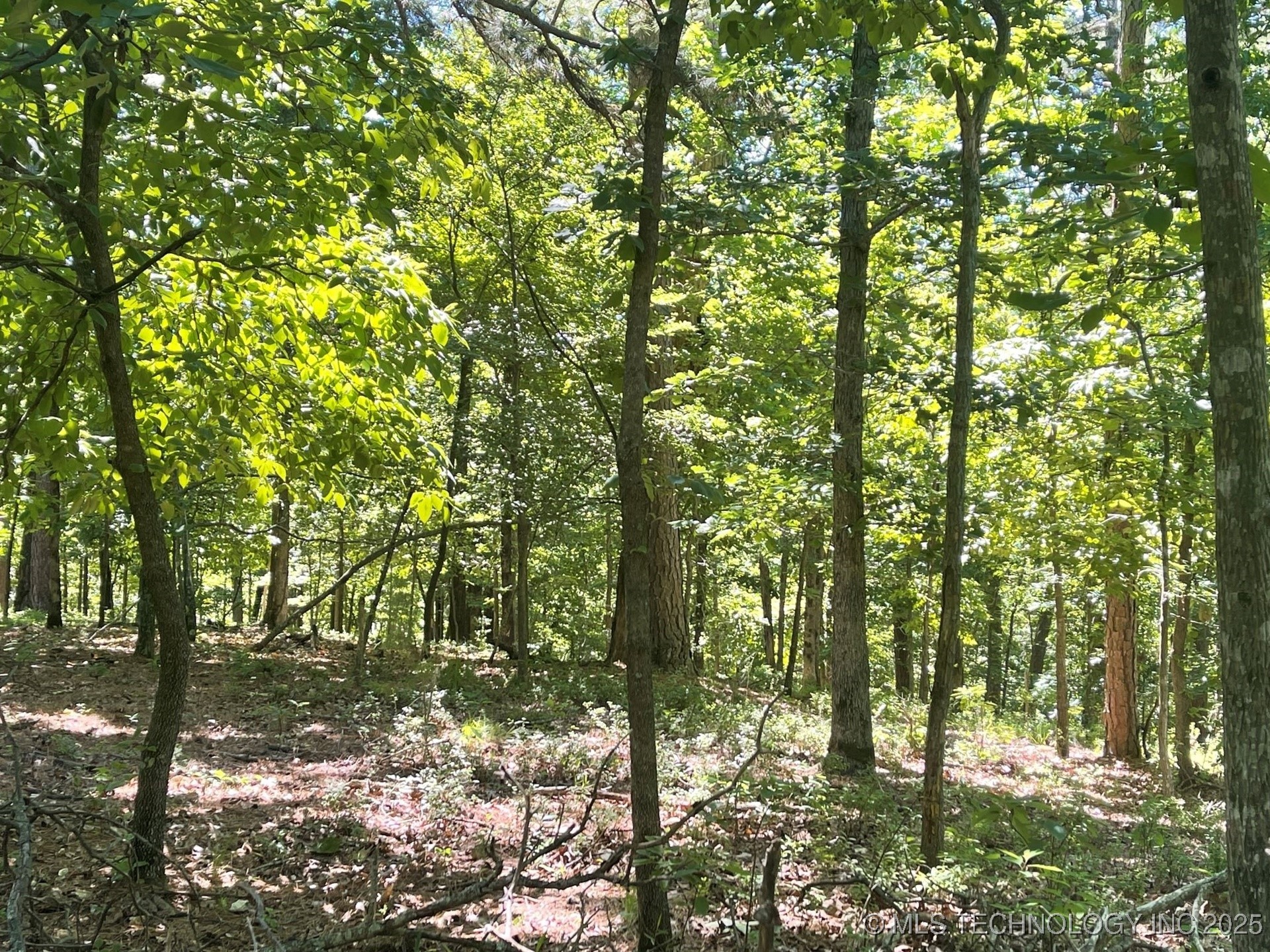 1372 Palomino Lane Property Photo 5