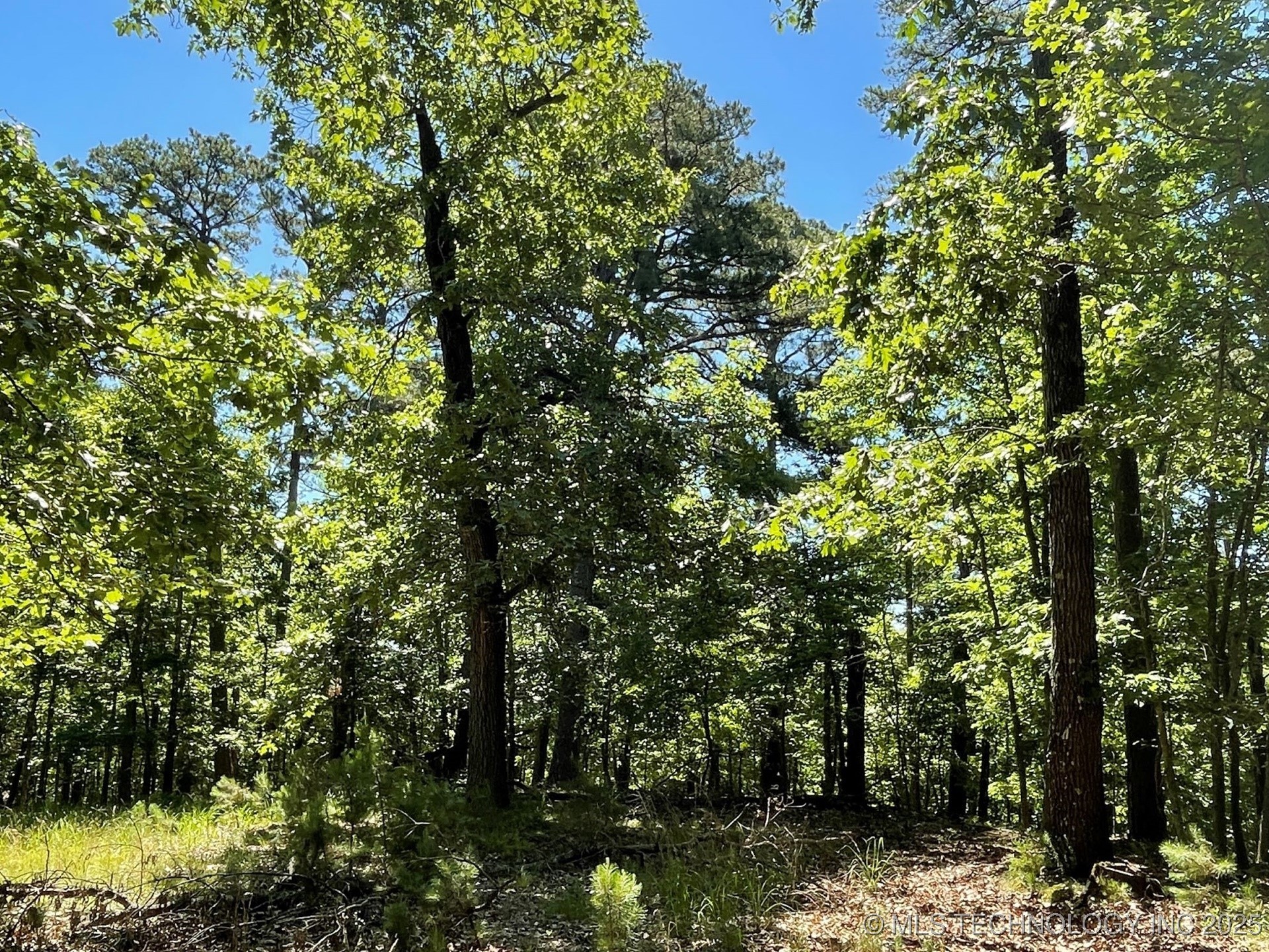 1372 Palomino Lane Property Photo 6