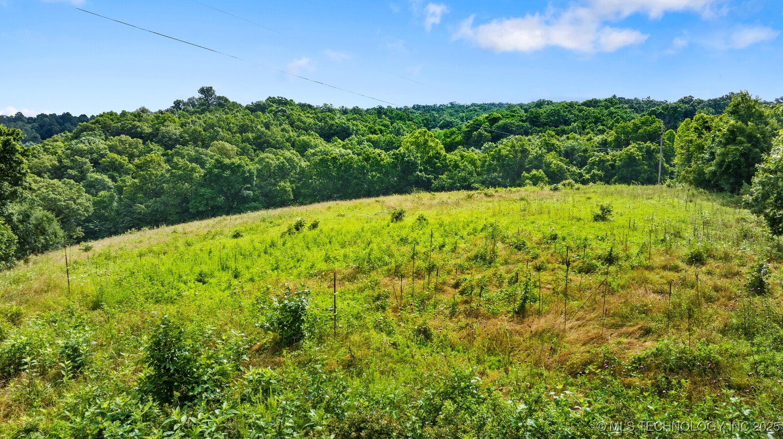 63155 S 4700 Property Photo 32