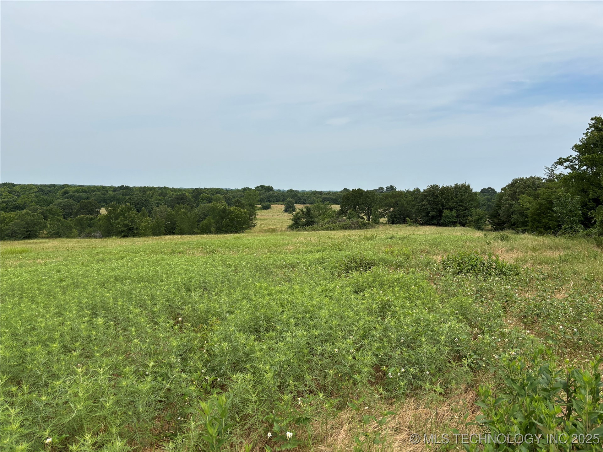 3703 Jim Mac Property Photo 8