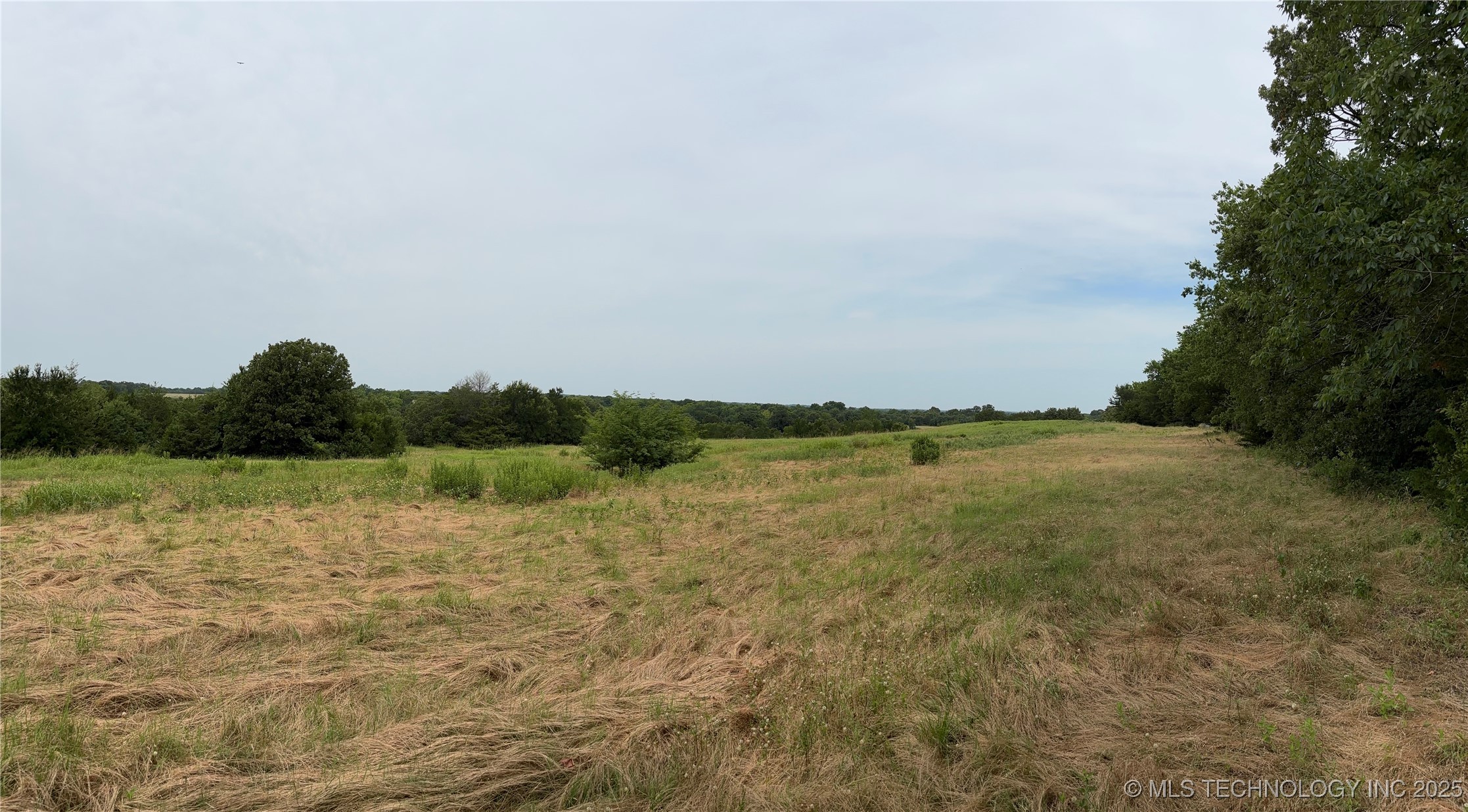 3703 Jim Mac Property Photo 9