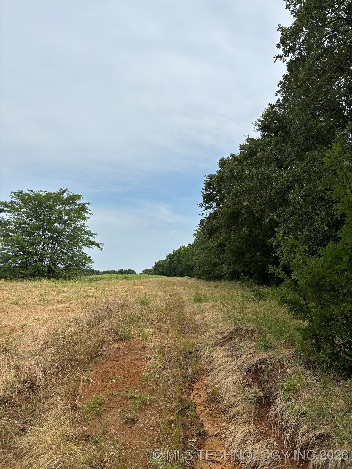 3703 Jim Mac Property Photo 10