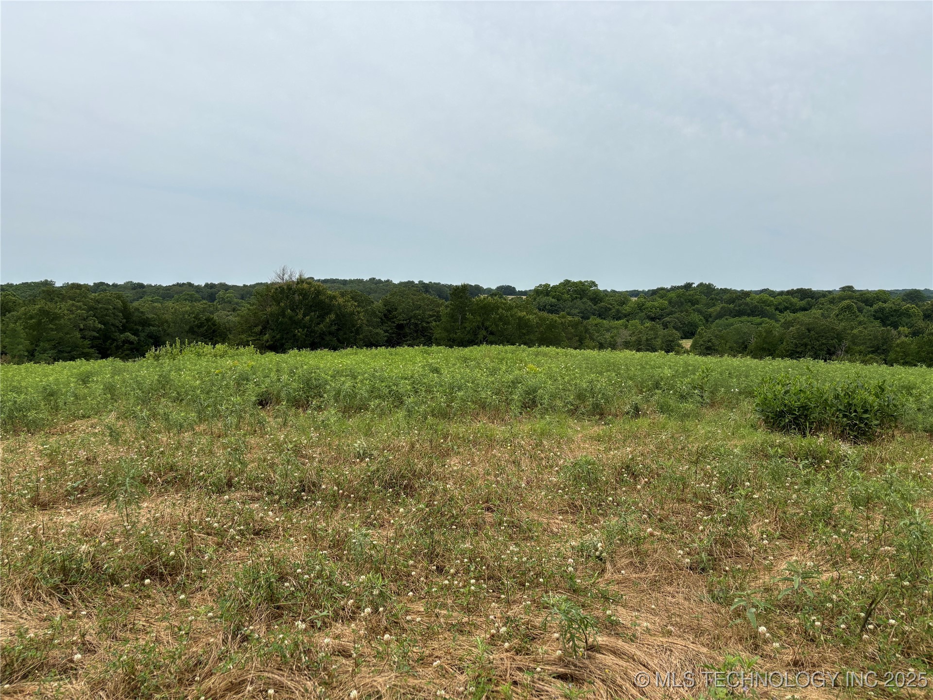 3703 Jim Mac Property Photo 13