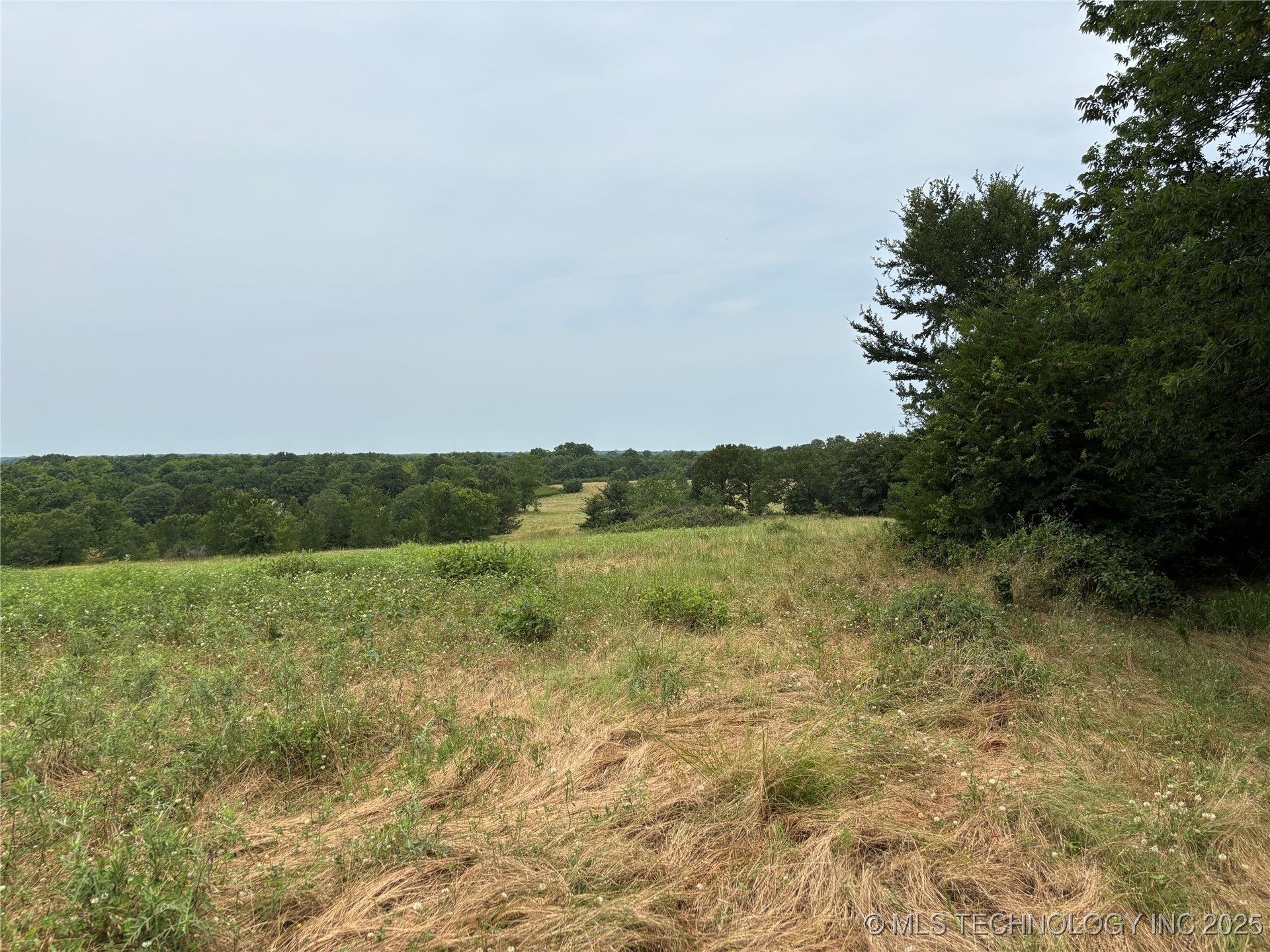3703 Jim Mac Property Photo 14