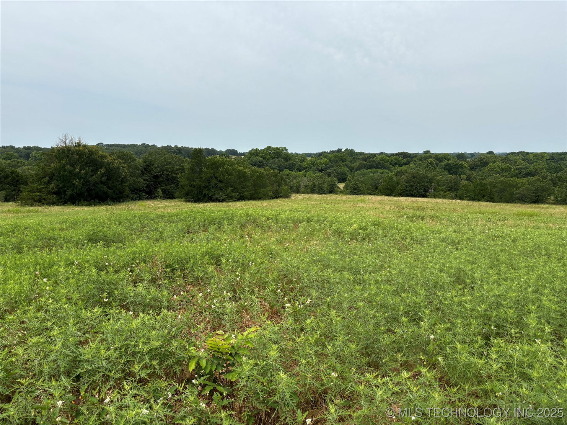 3703 Jim Mac Property Photo 15