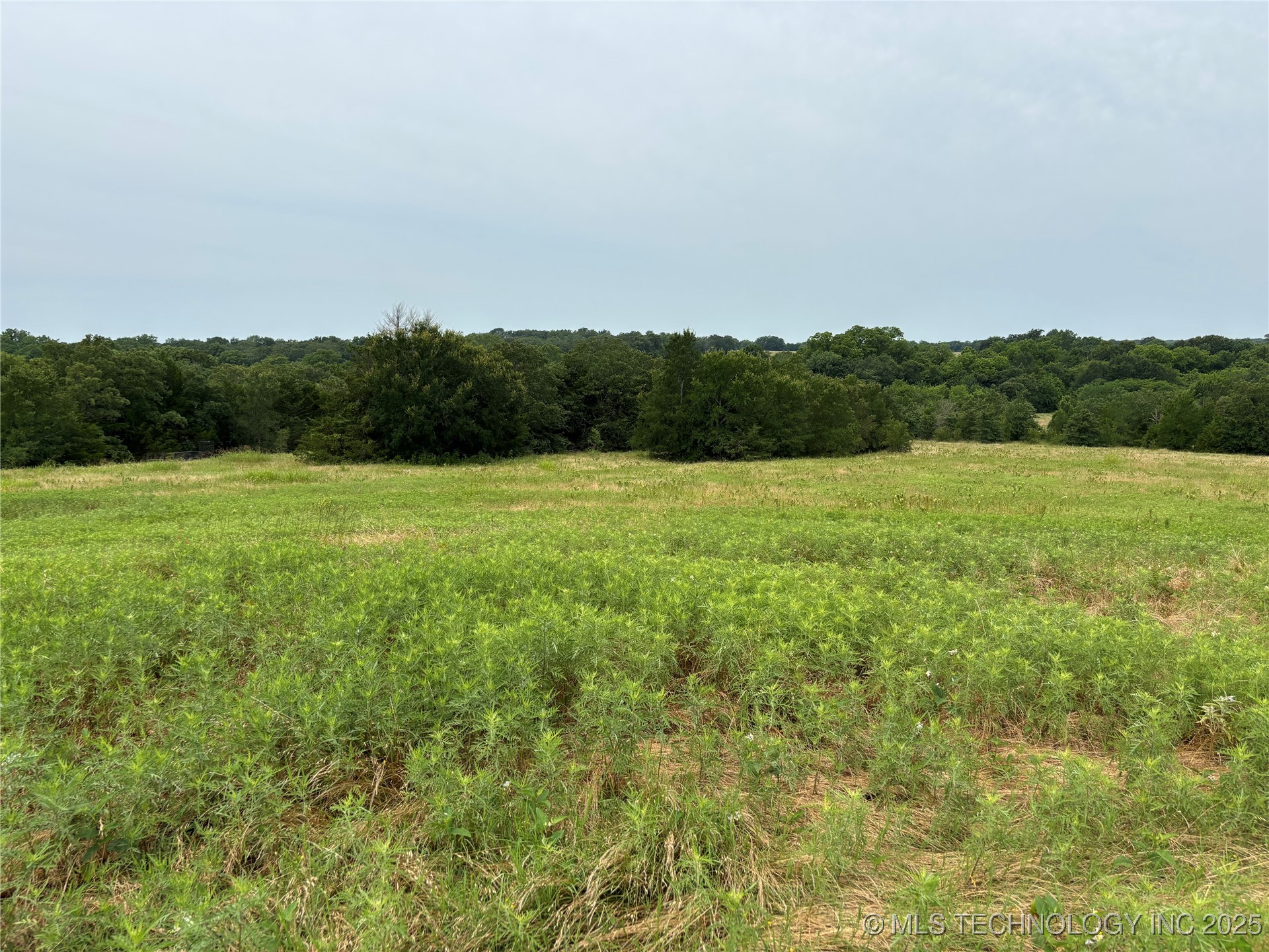 3703 Jim Mac Property Photo 17