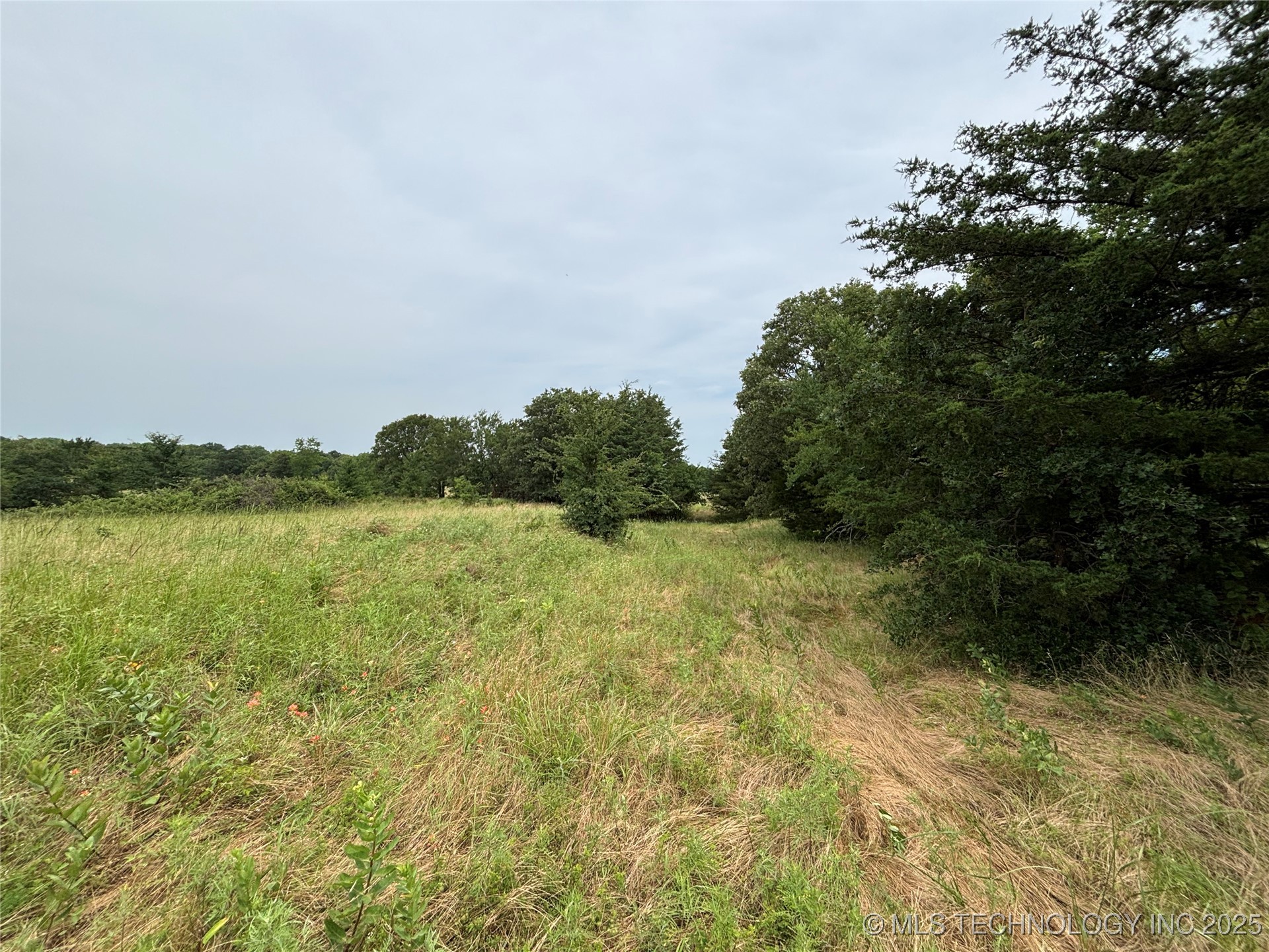 3703 Jim Mac Property Photo 18
