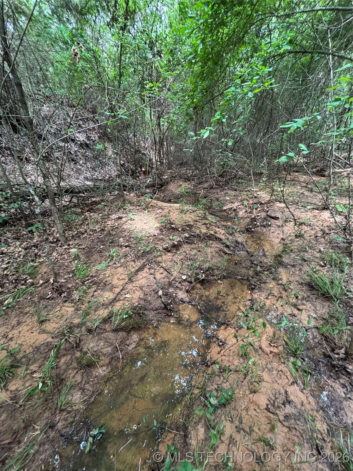 3703 Jim Mac Property Photo 21