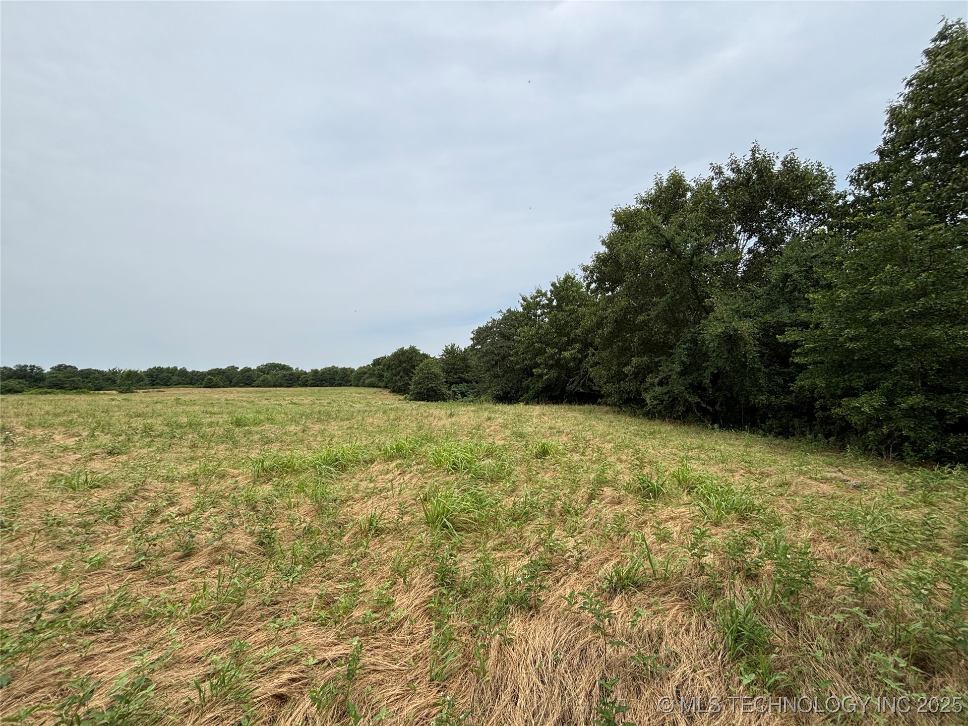 3703 Jim Mac Property Photo 22