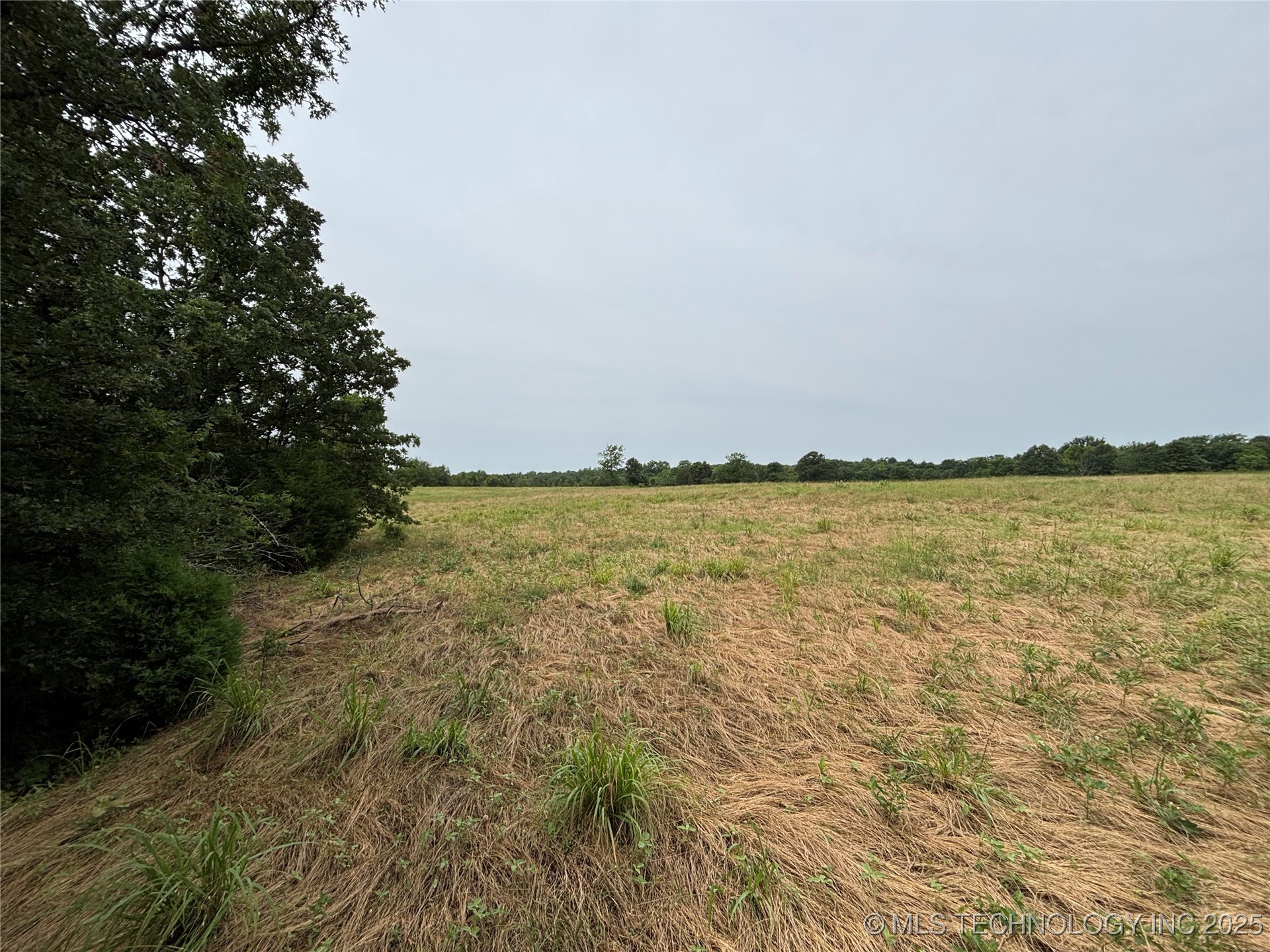 3703 Jim Mac Property Photo 24