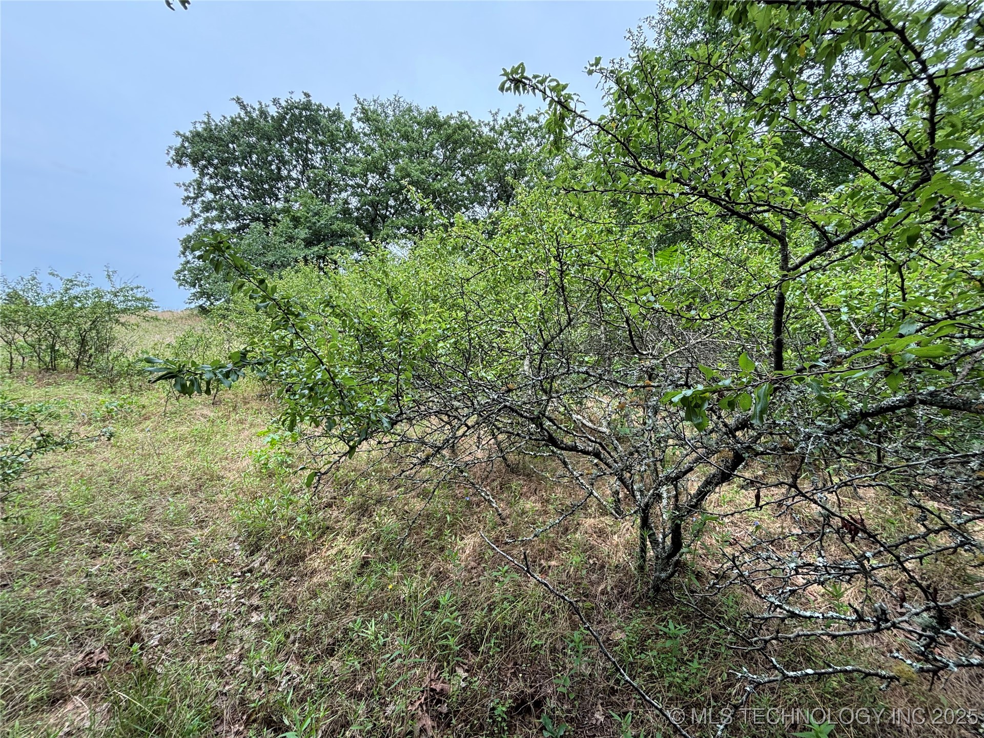 3703 Jim Mac Property Photo 27