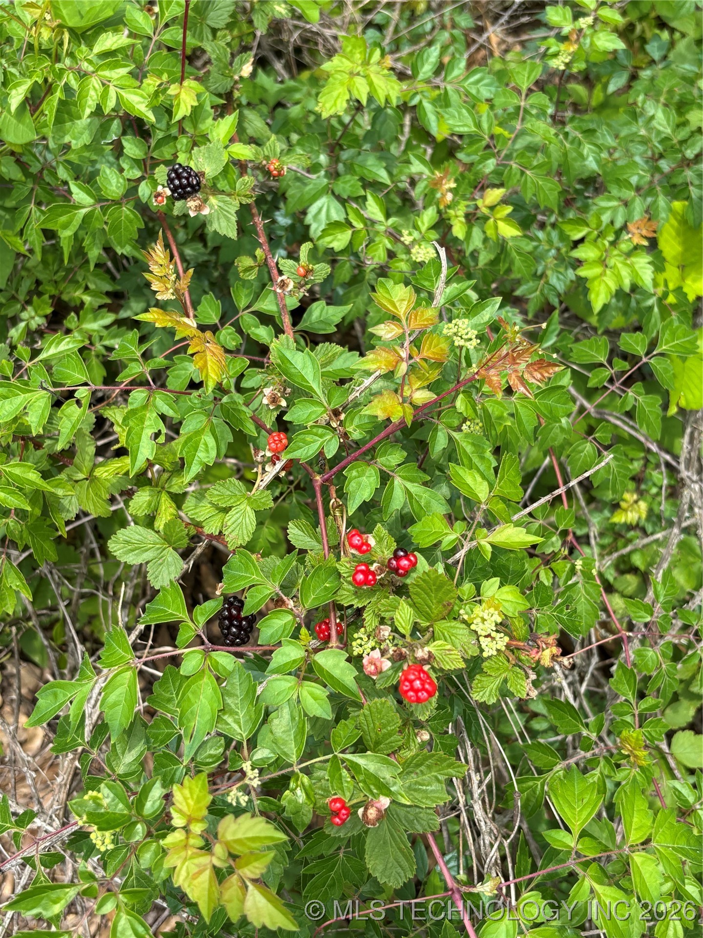 3703 Jim Mac Property Photo 34