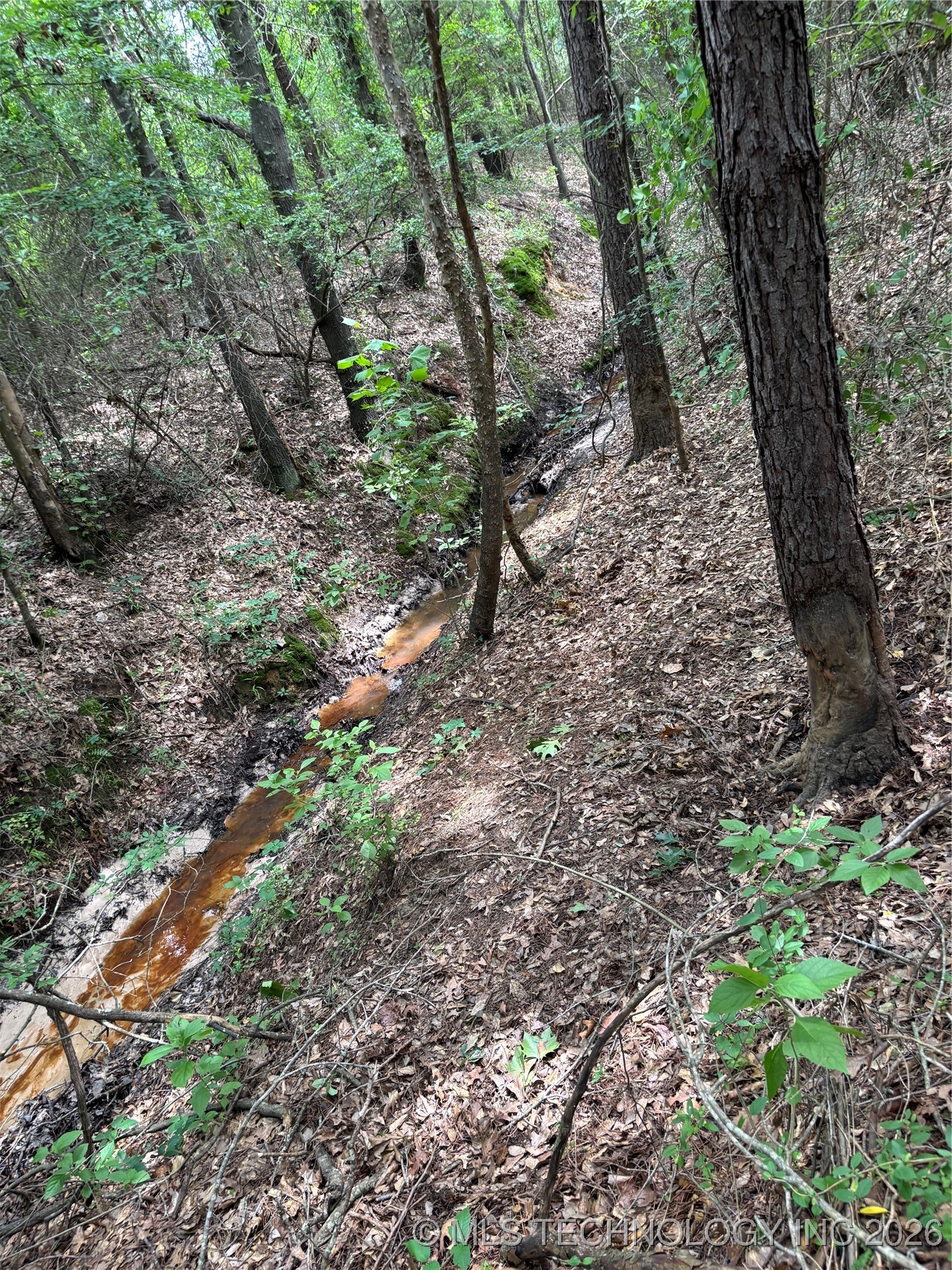 3703 Jim Mac Property Photo 37