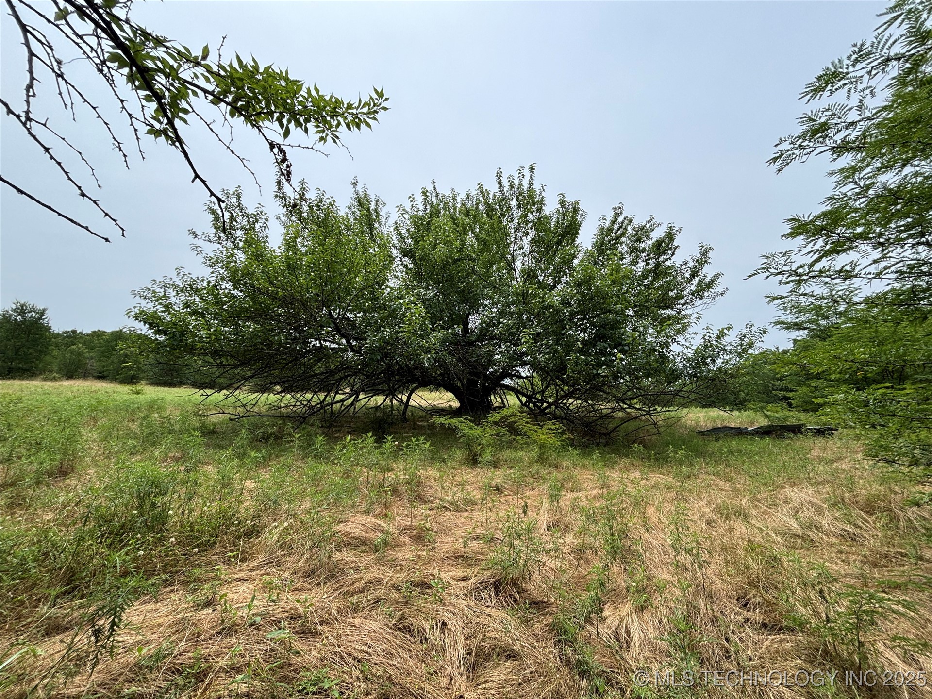 3703 Jim Mac Property Photo 40