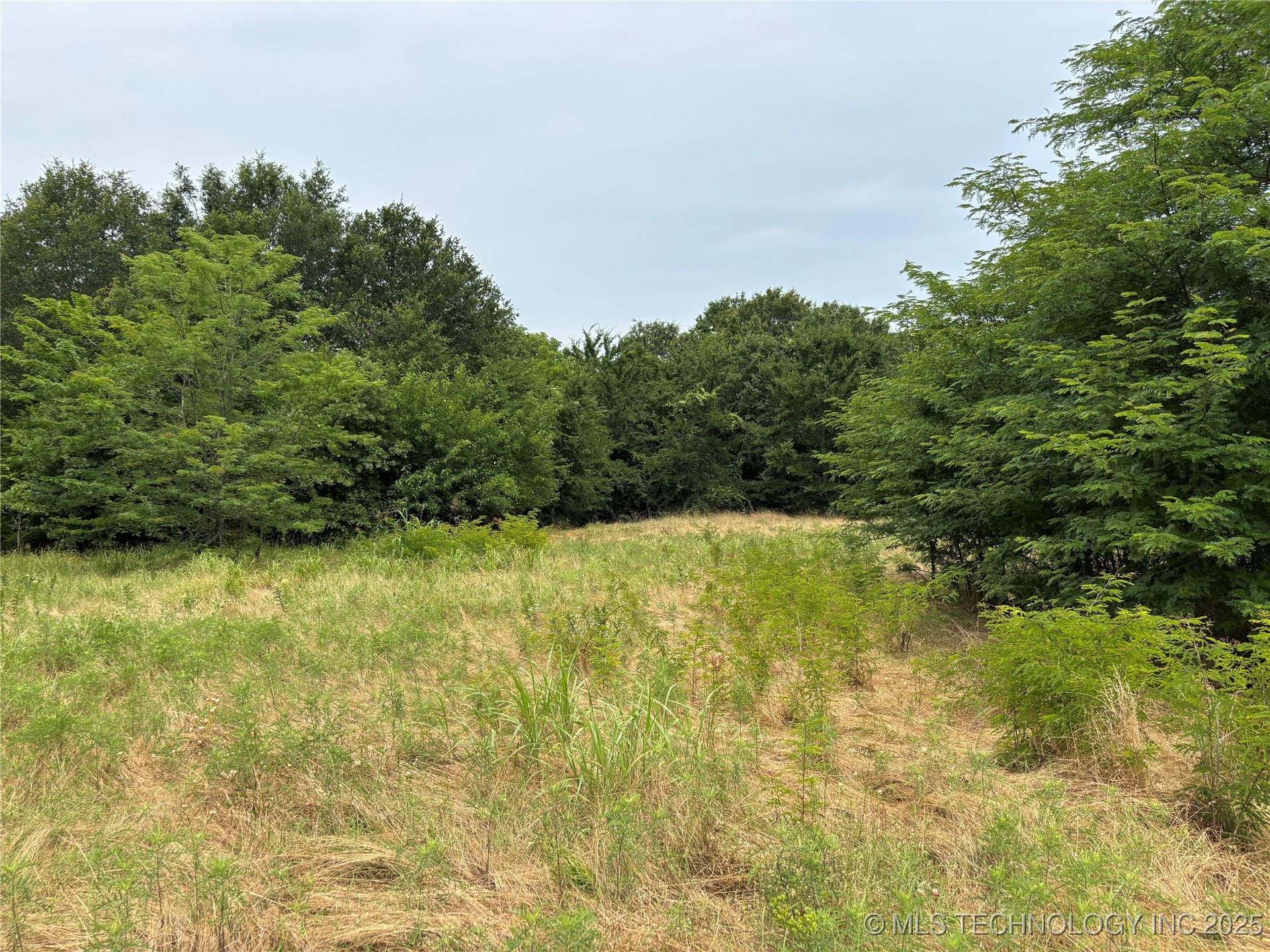 3703 Jim Mac Property Photo 41