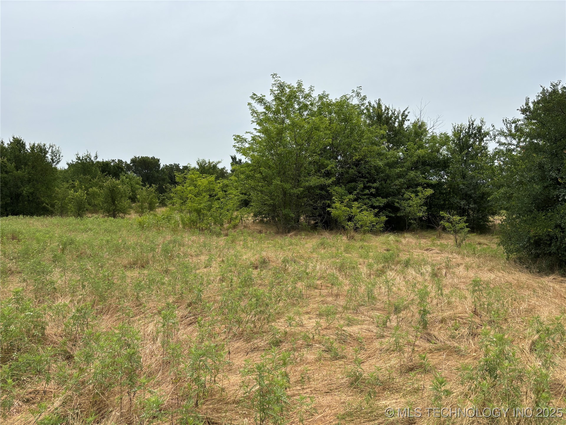 3703 Jim Mac Property Photo 43