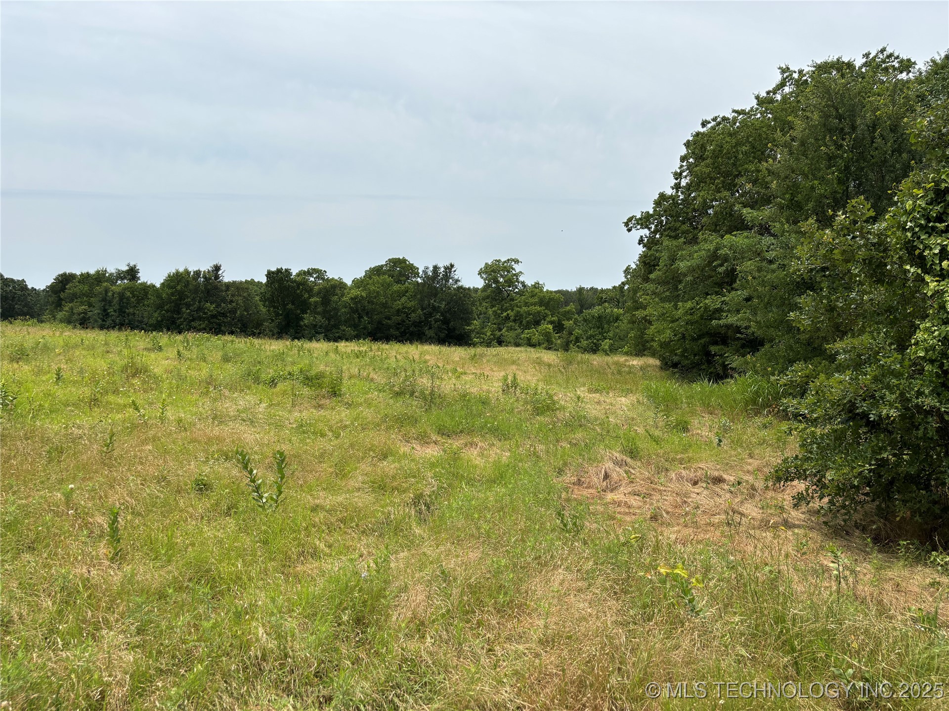 3703 Jim Mac Property Photo 49