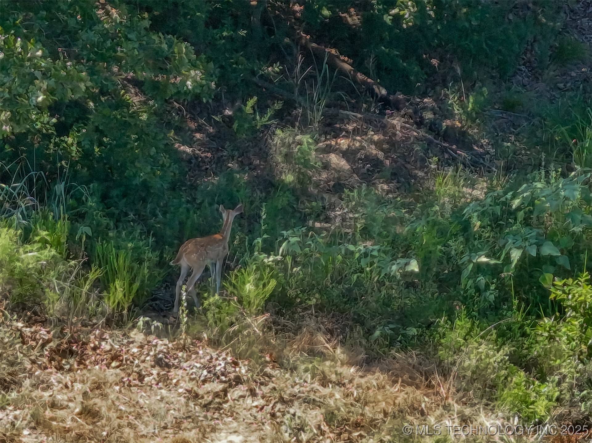 103098 N 3750 Road Property Photo 39