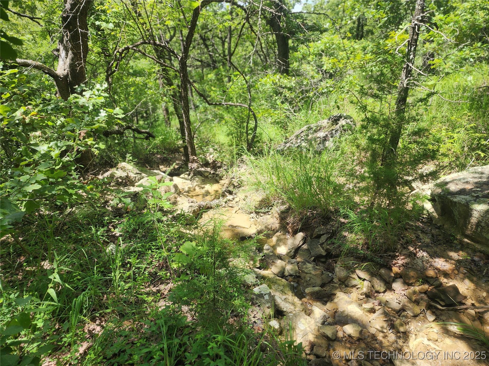 Hickory Lane Property Photo 3