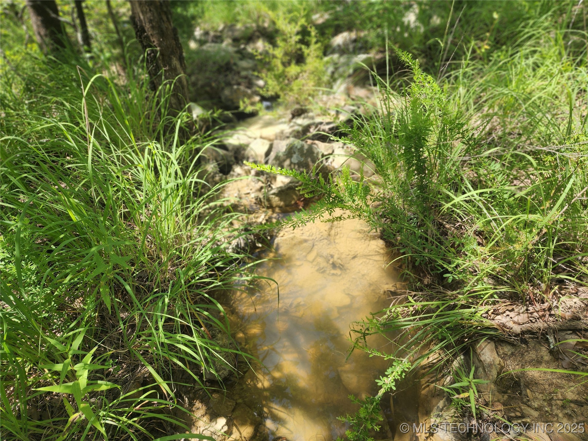 Hickory Lane Property Photo 4