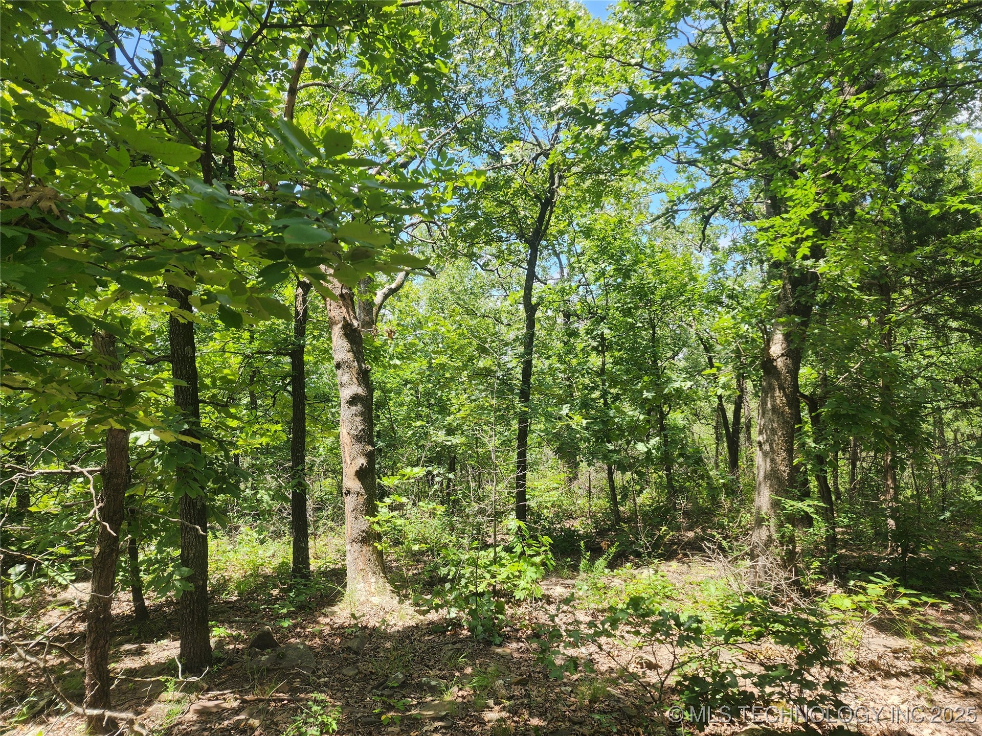 Hickory Lane Property Photo 5