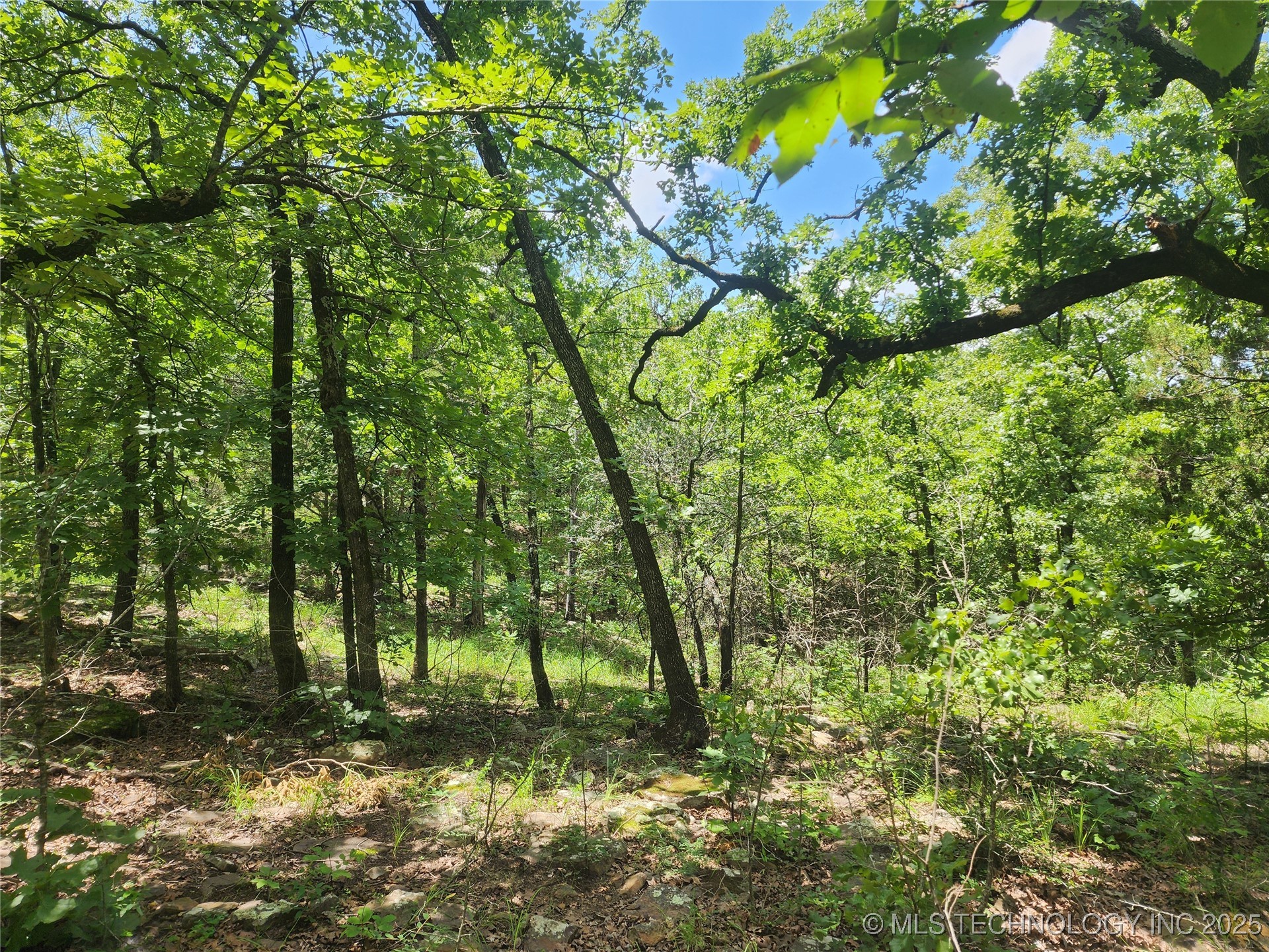 Hickory Lane Property Photo 6