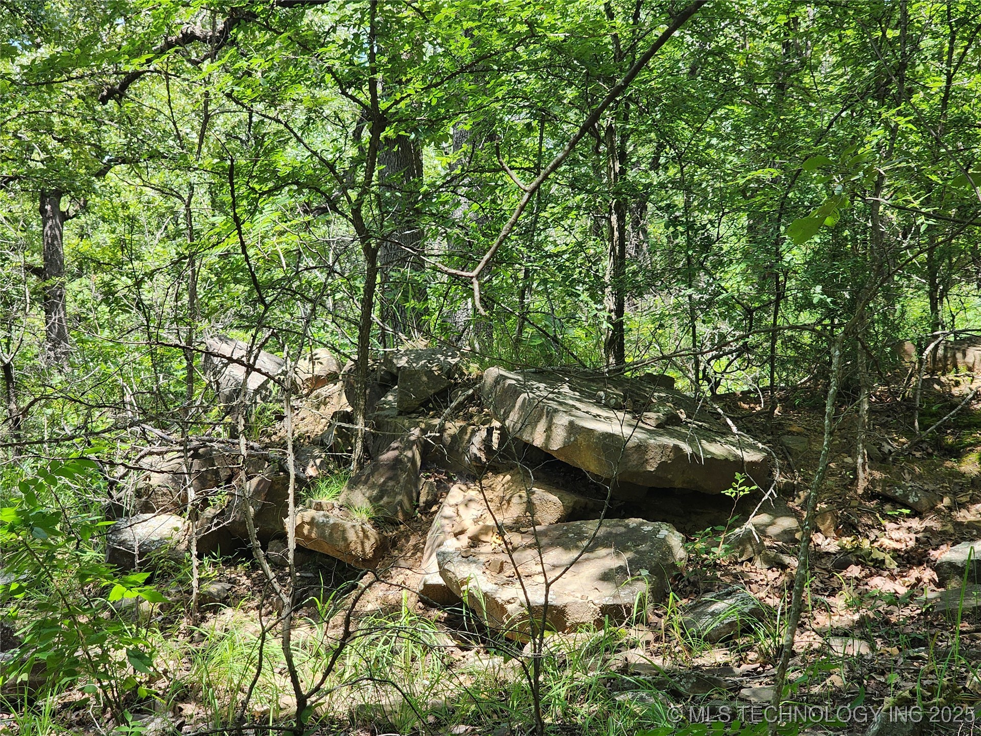 Hickory Lane Property Photo 7