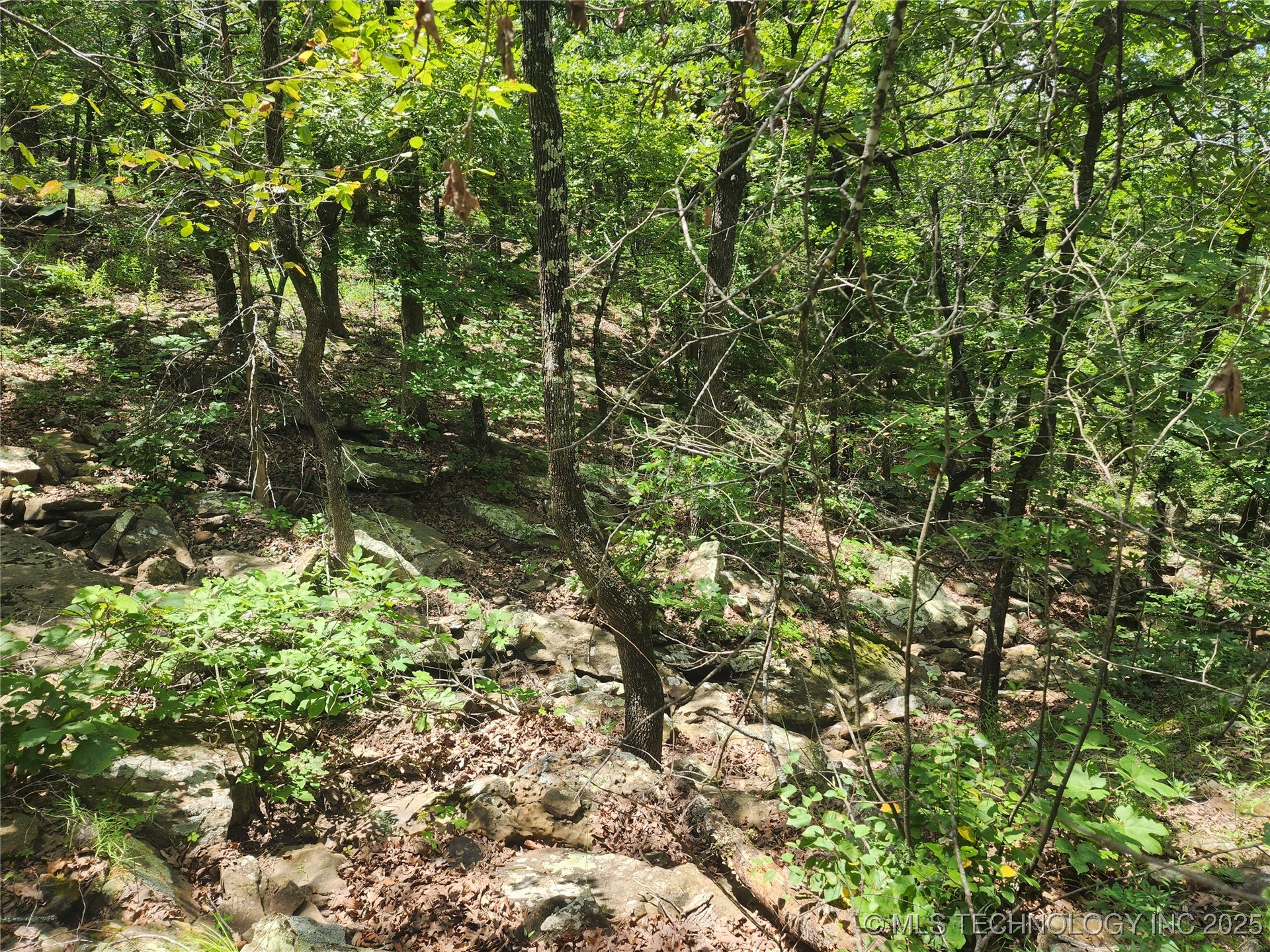 Hickory Lane Property Photo 8