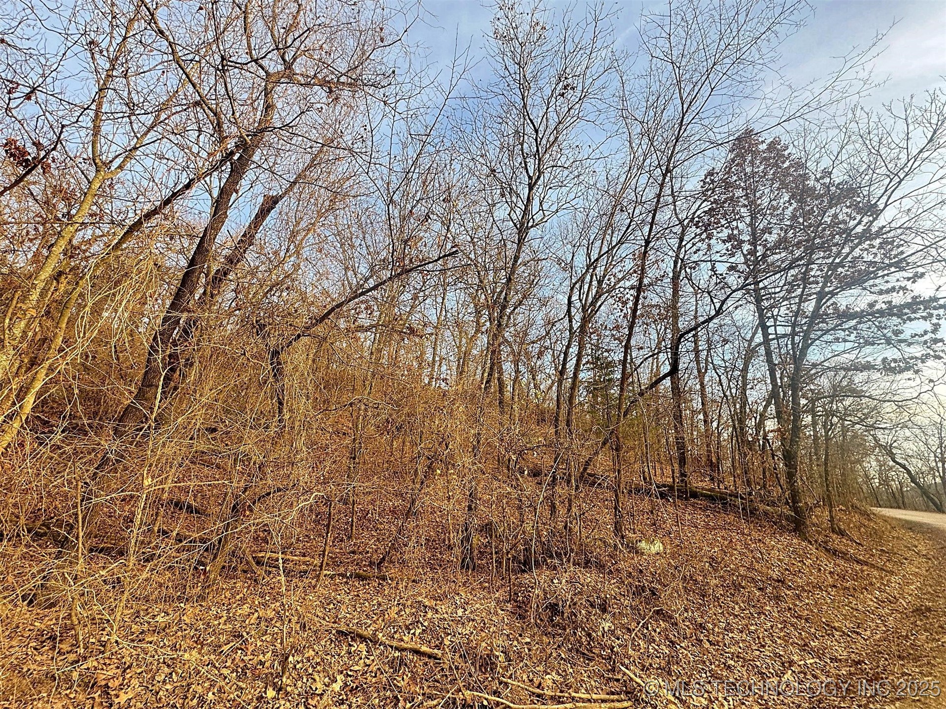 18010 W Big Rock Road Property Photo 10