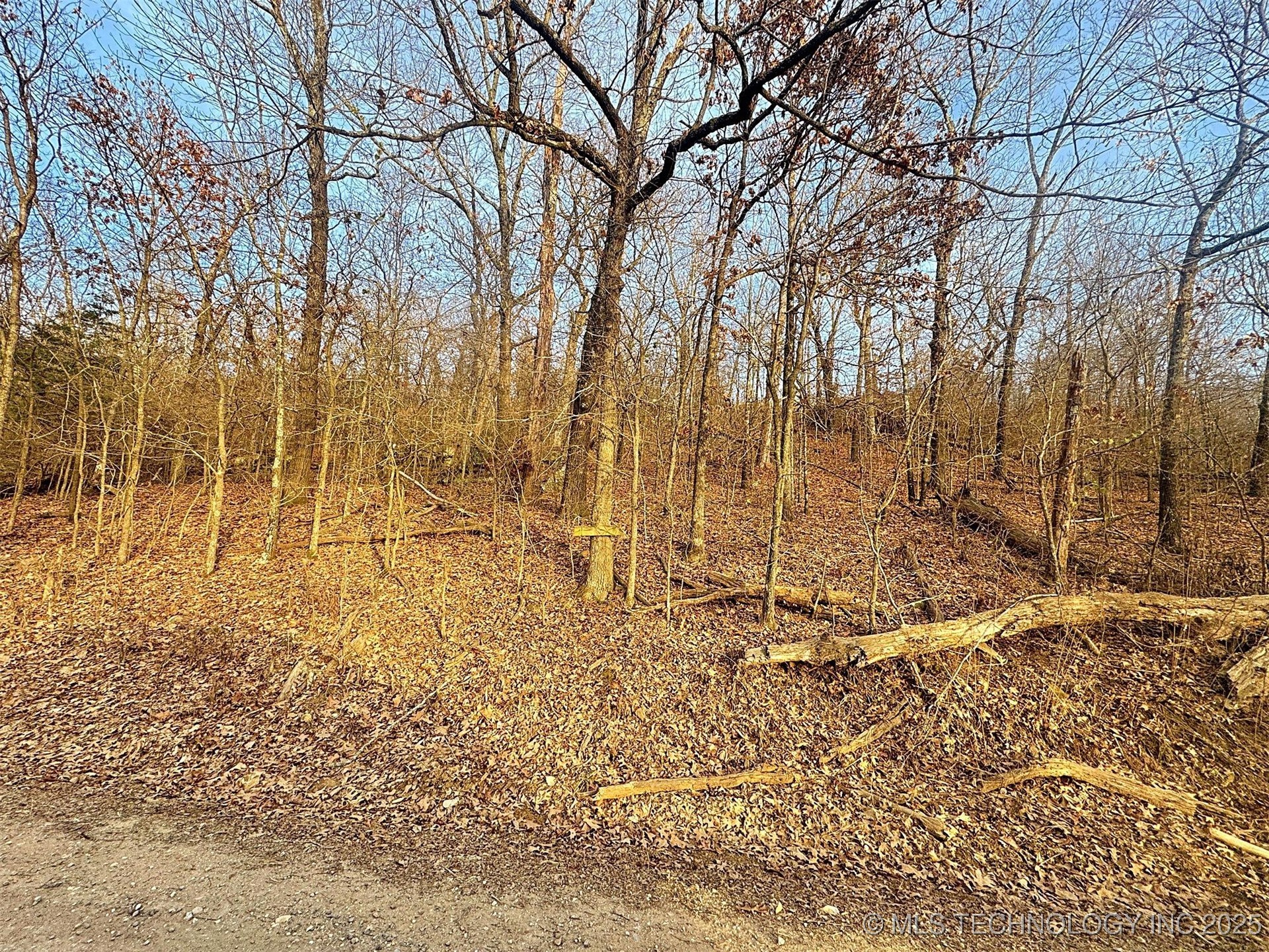 18010 W Big Rock Road Property Photo 11