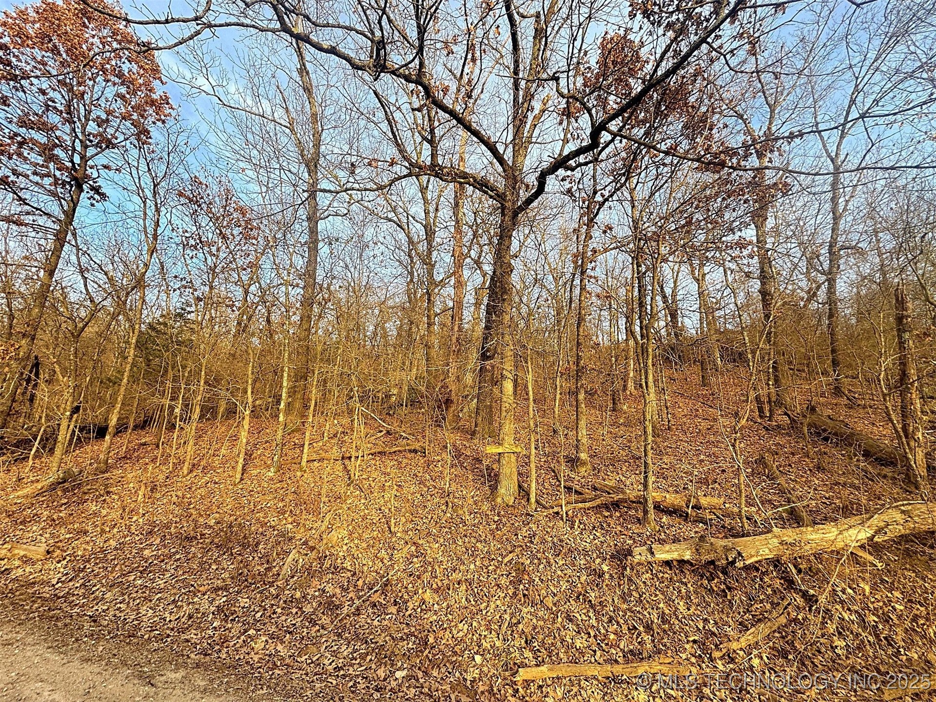 18010 W Big Rock Road Property Photo 12