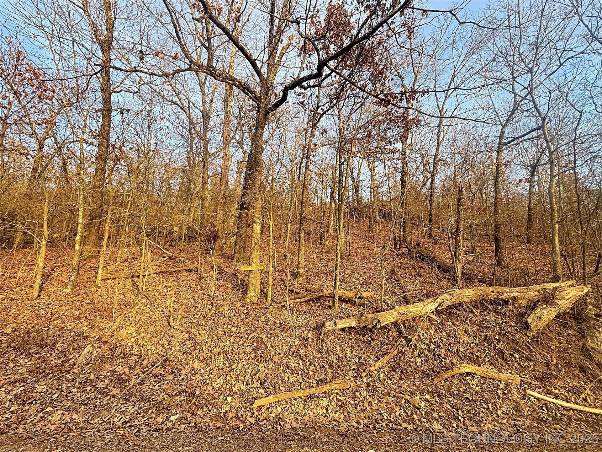 18010 W Big Rock Road Property Photo 13