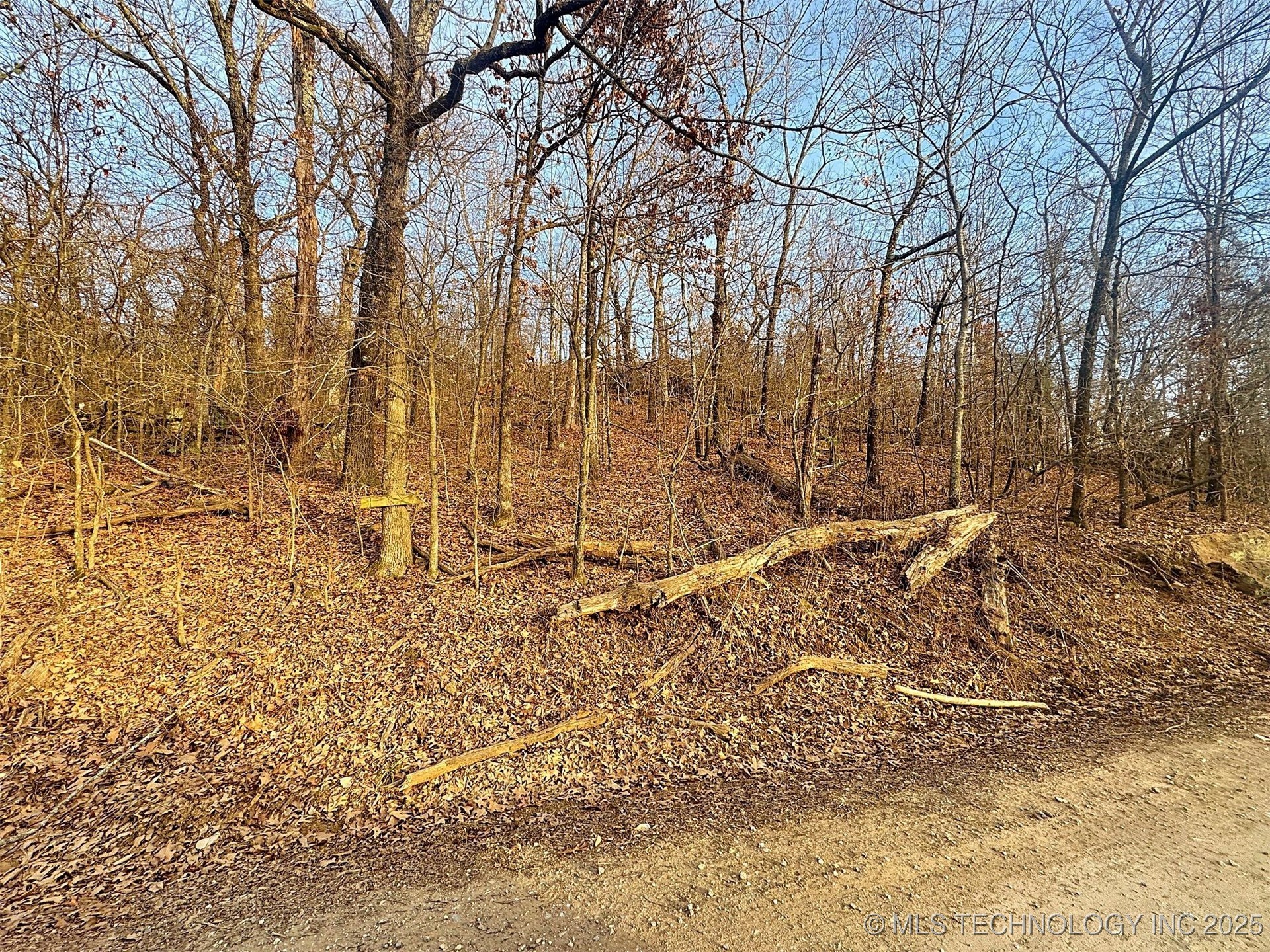 18010 W Big Rock Road Property Photo 14