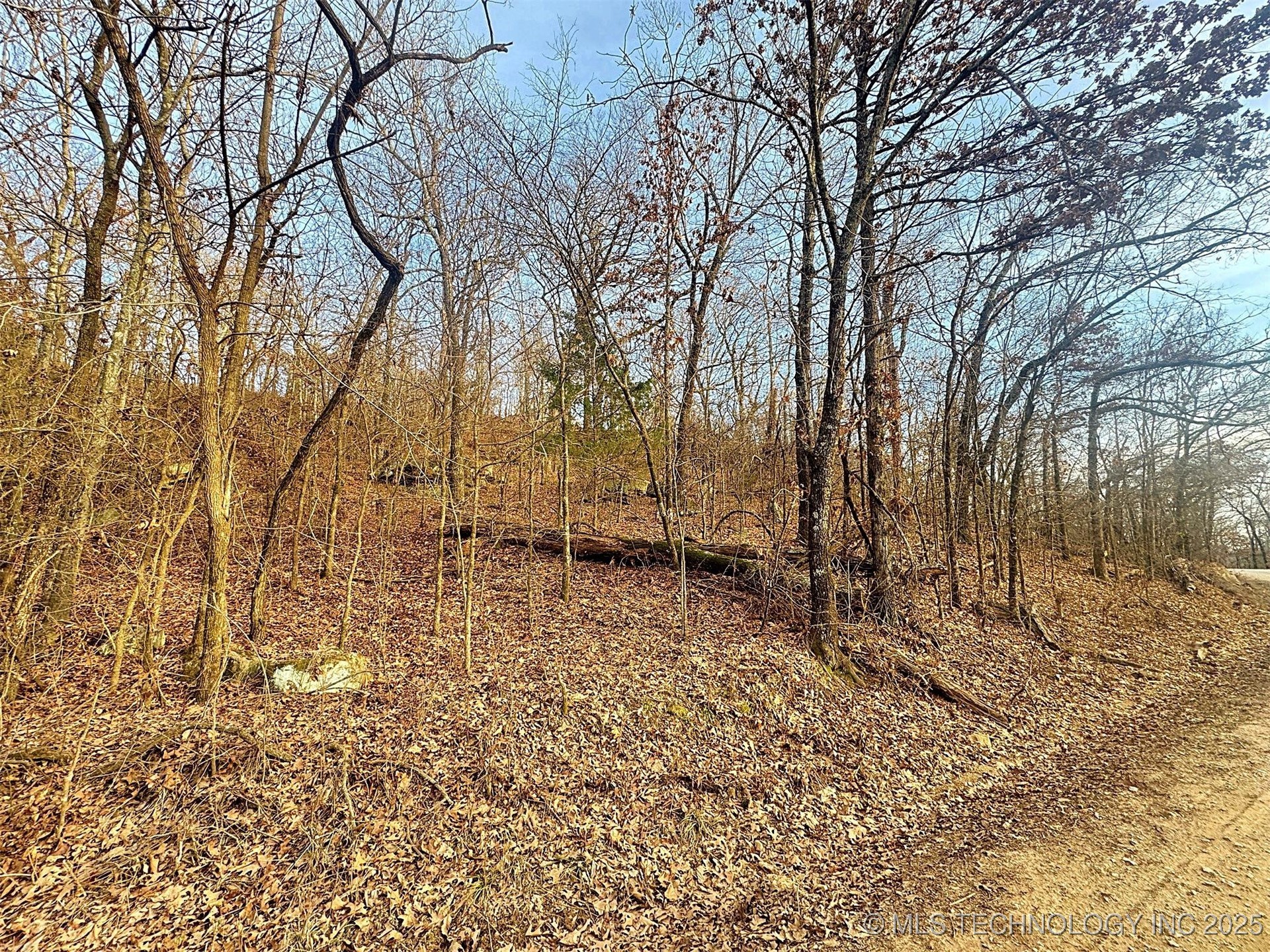 18010 W Big Rock Road Property Photo 15