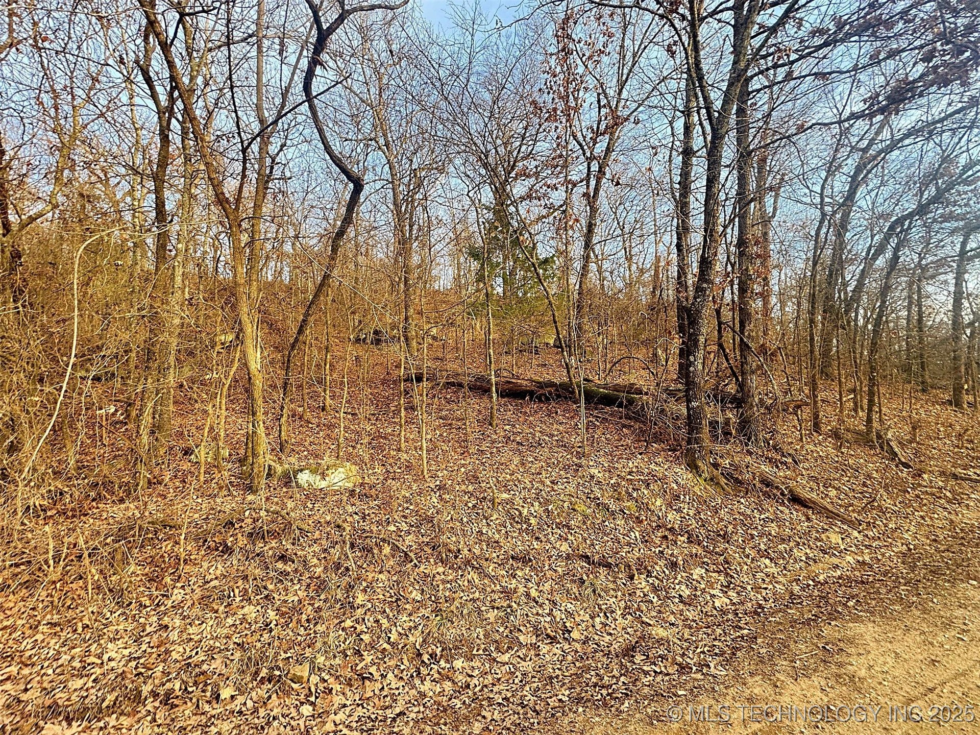 18010 W Big Rock Road Property Photo 16