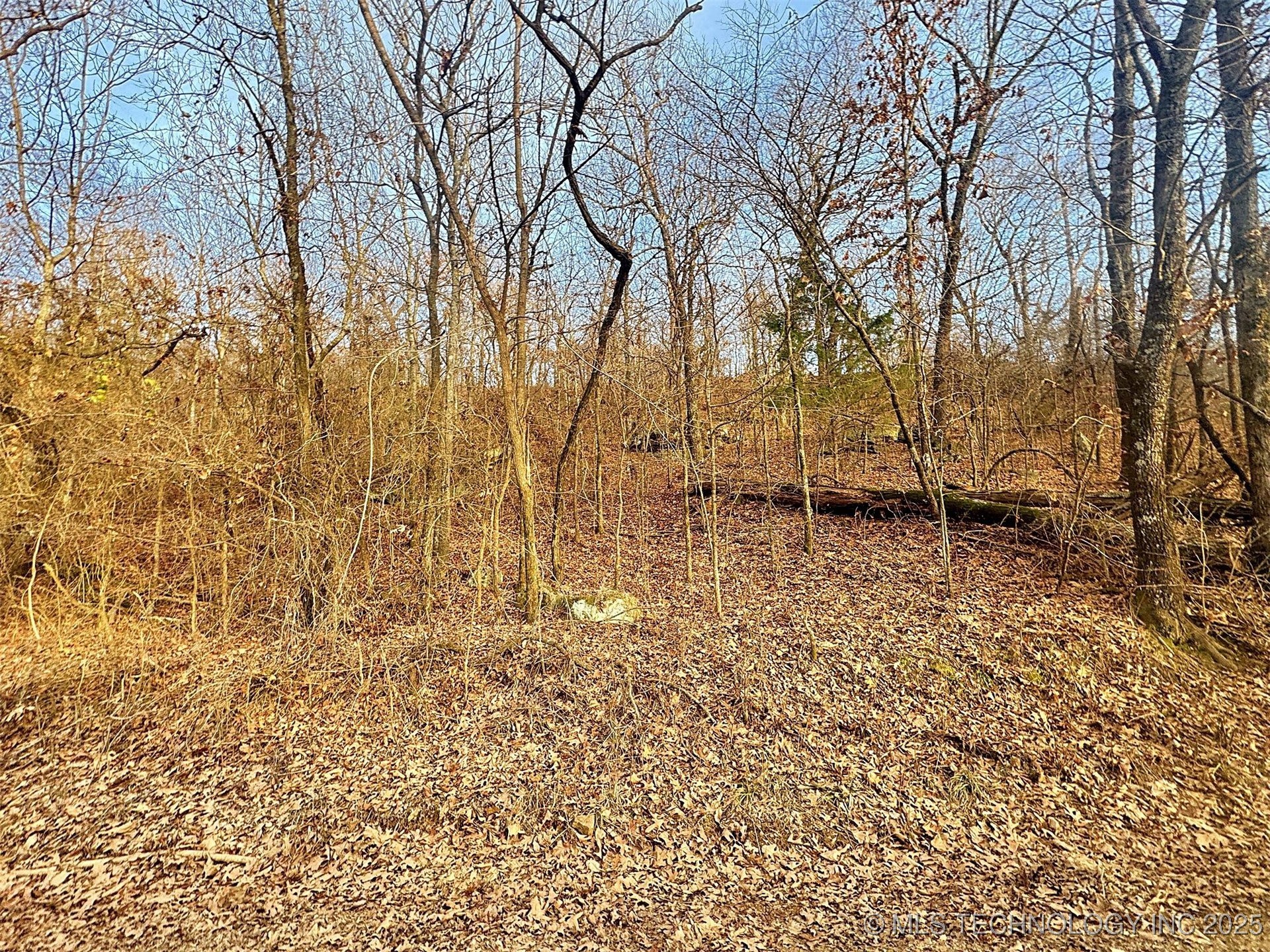 18010 W Big Rock Road Property Photo 17