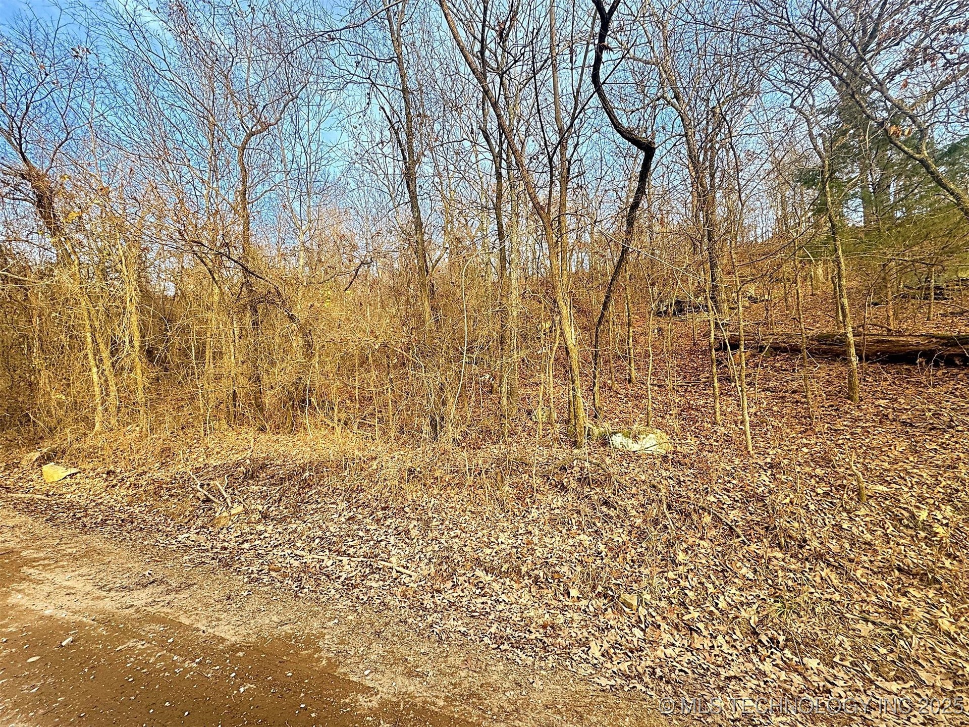 18010 W Big Rock Road Property Photo 18