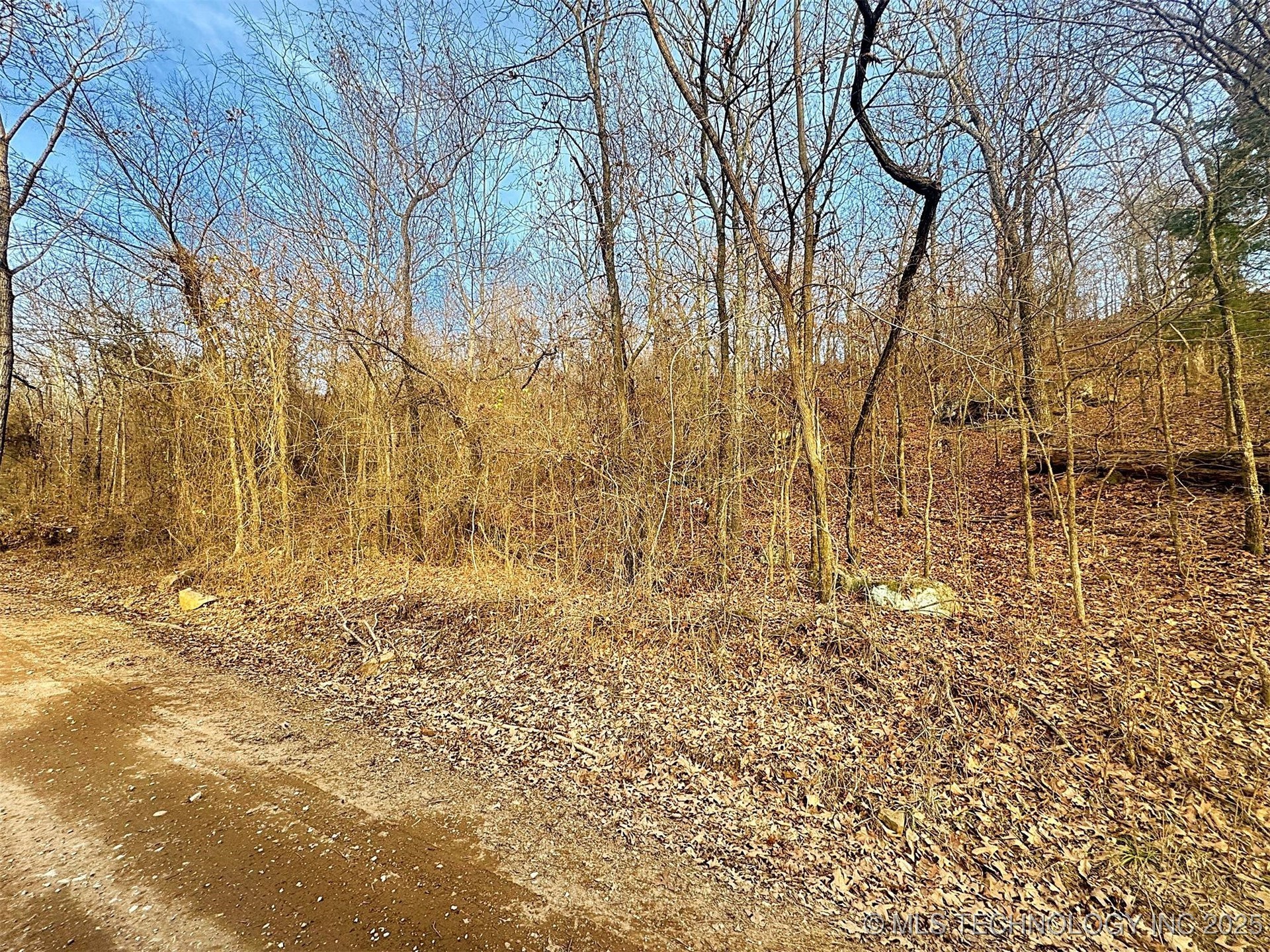 18010 W Big Rock Road Property Photo 19