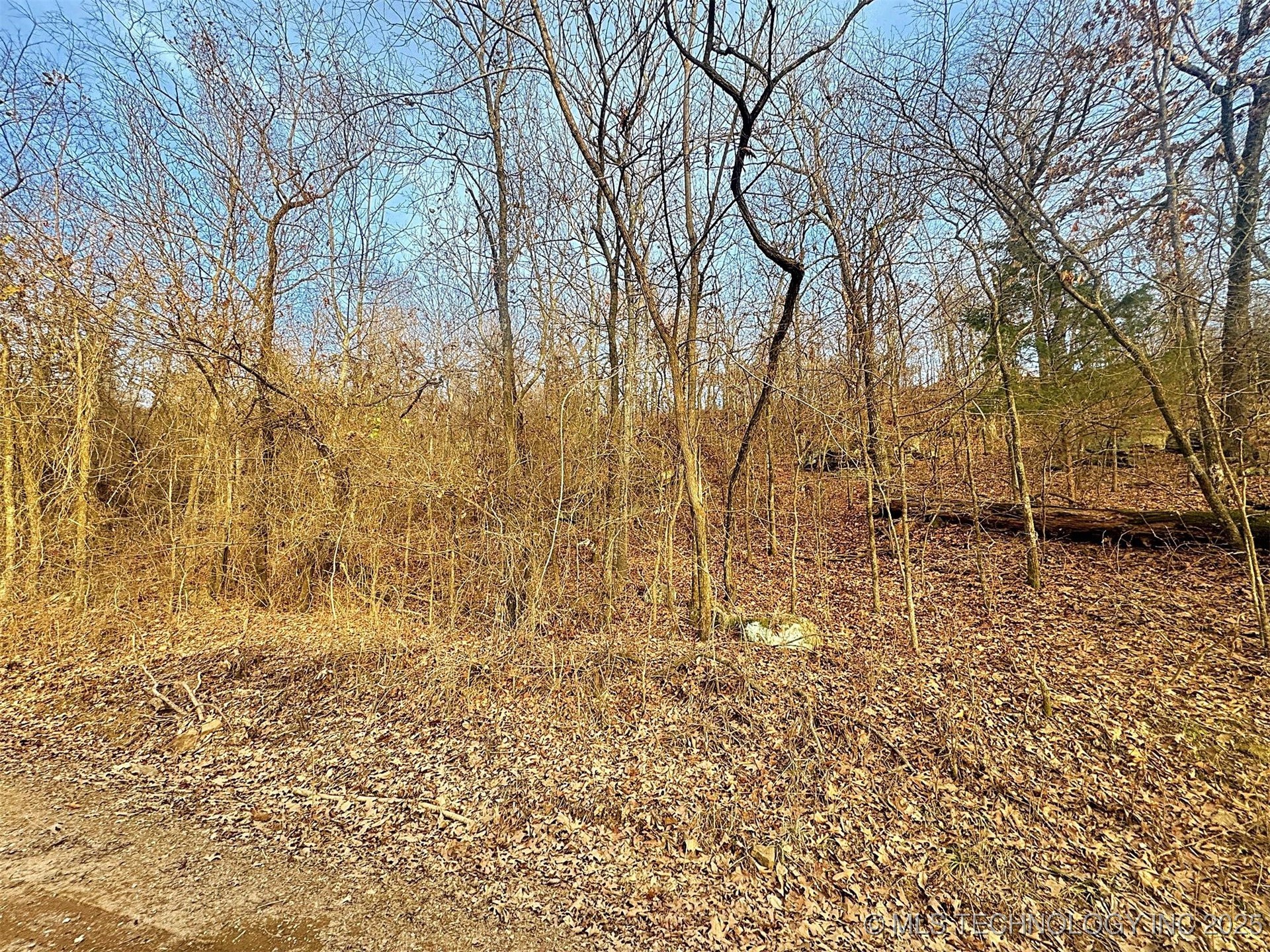 18010 W Big Rock Road Property Photo 20