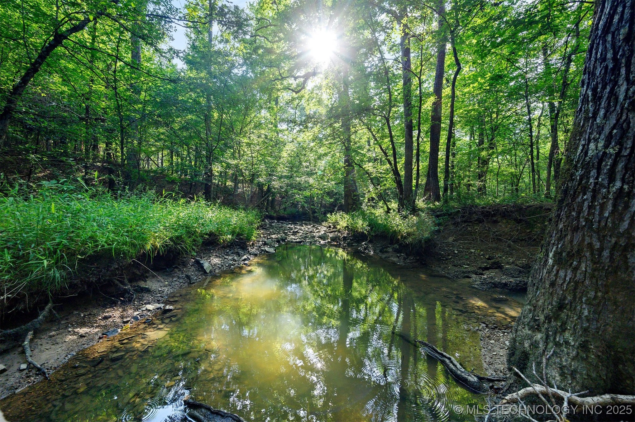 66 Aged Acacia Trail Property Photo 2