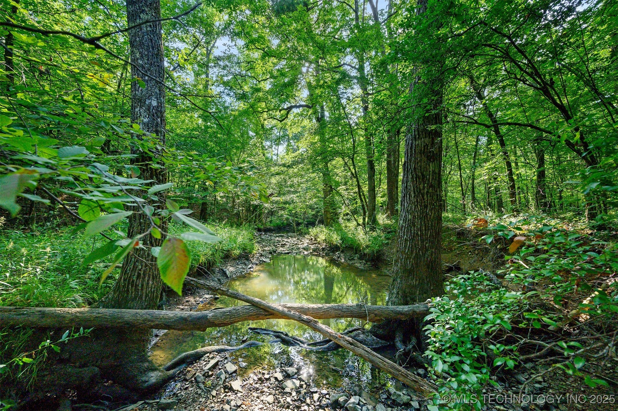 66 Aged Acacia Trail Property Photo 3