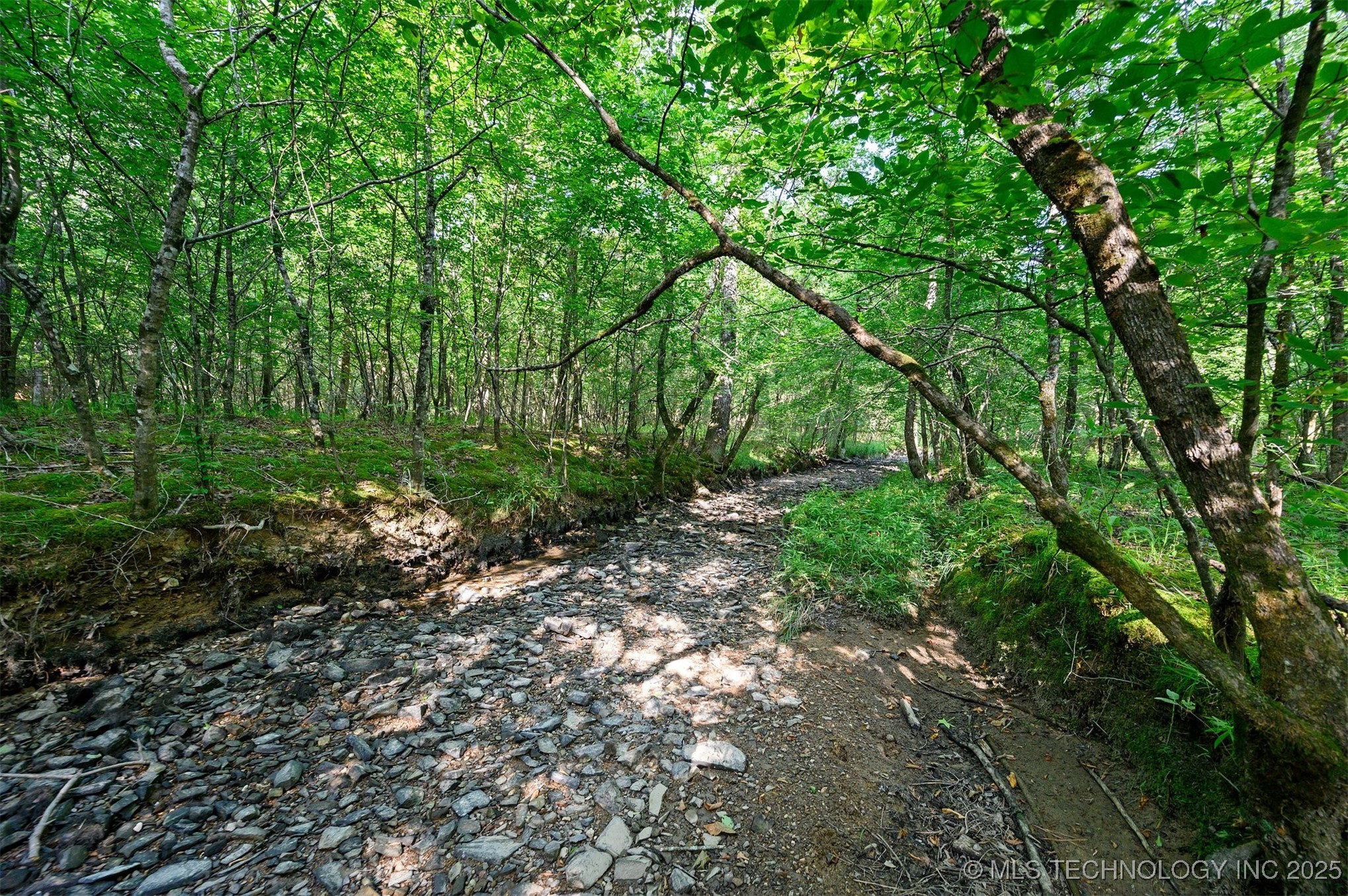 66 Aged Acacia Trail Property Photo 4