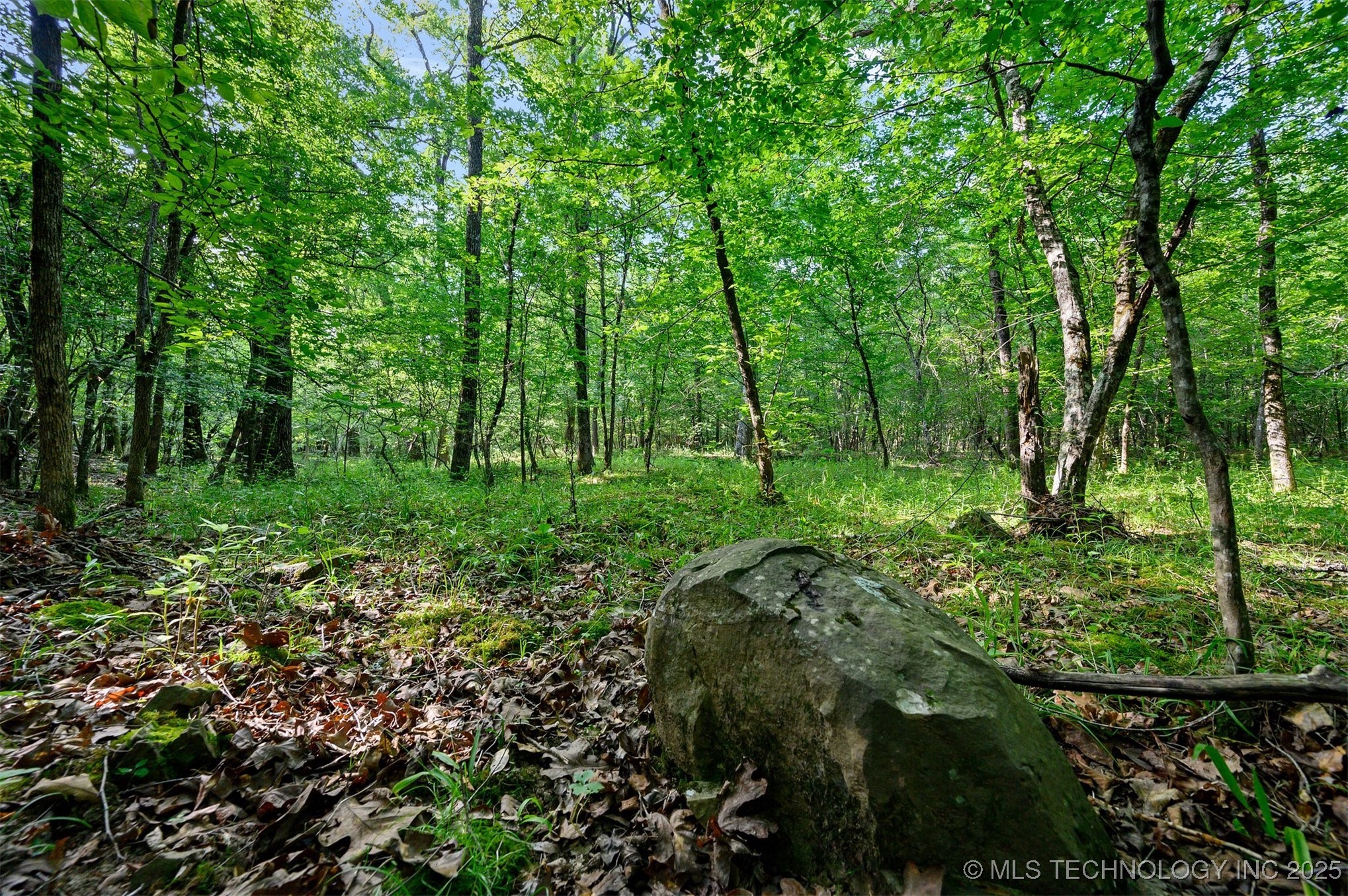 66 Aged Acacia Trail Property Photo 6