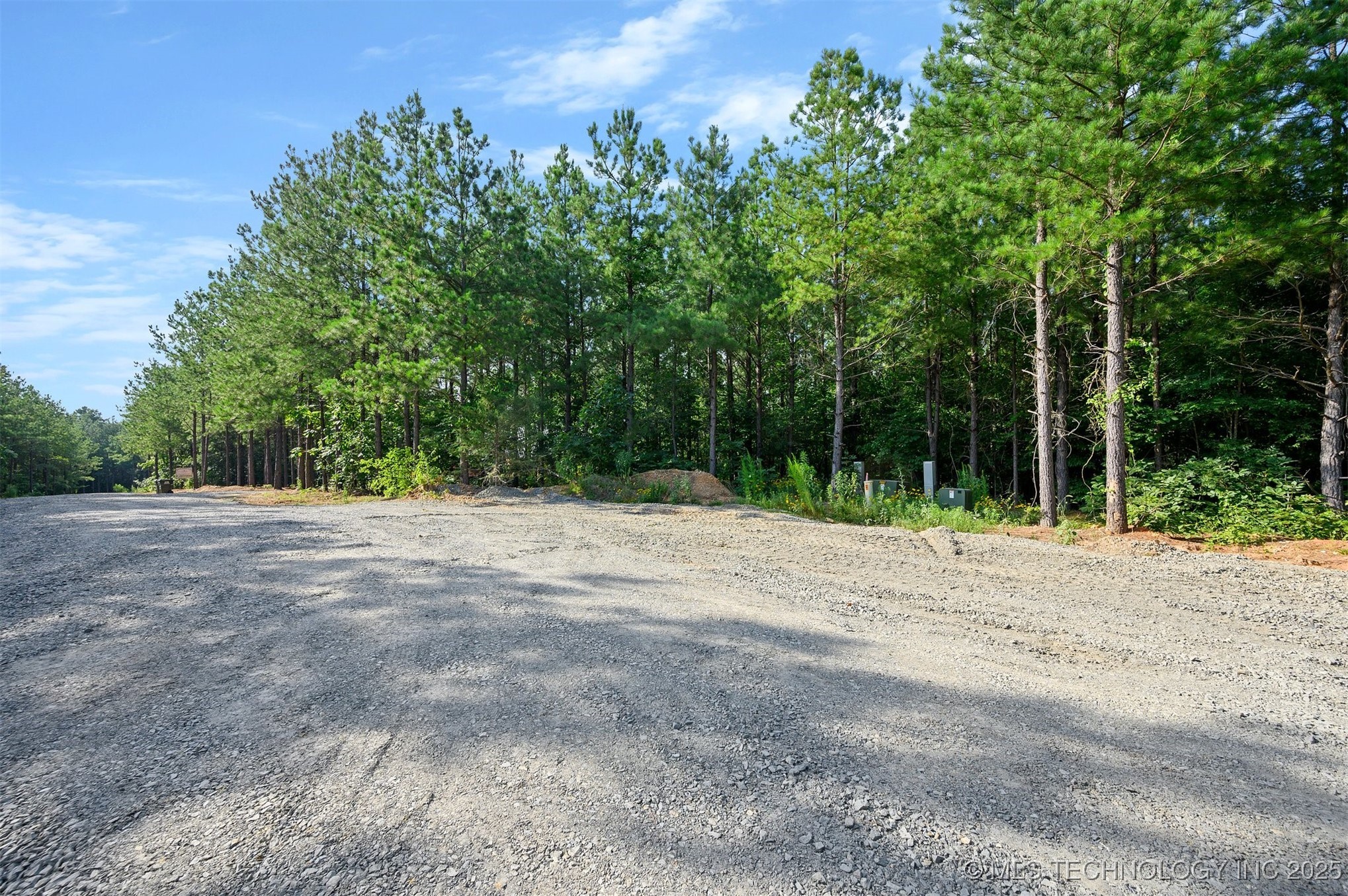 66 Aged Acacia Trail Property Photo 9