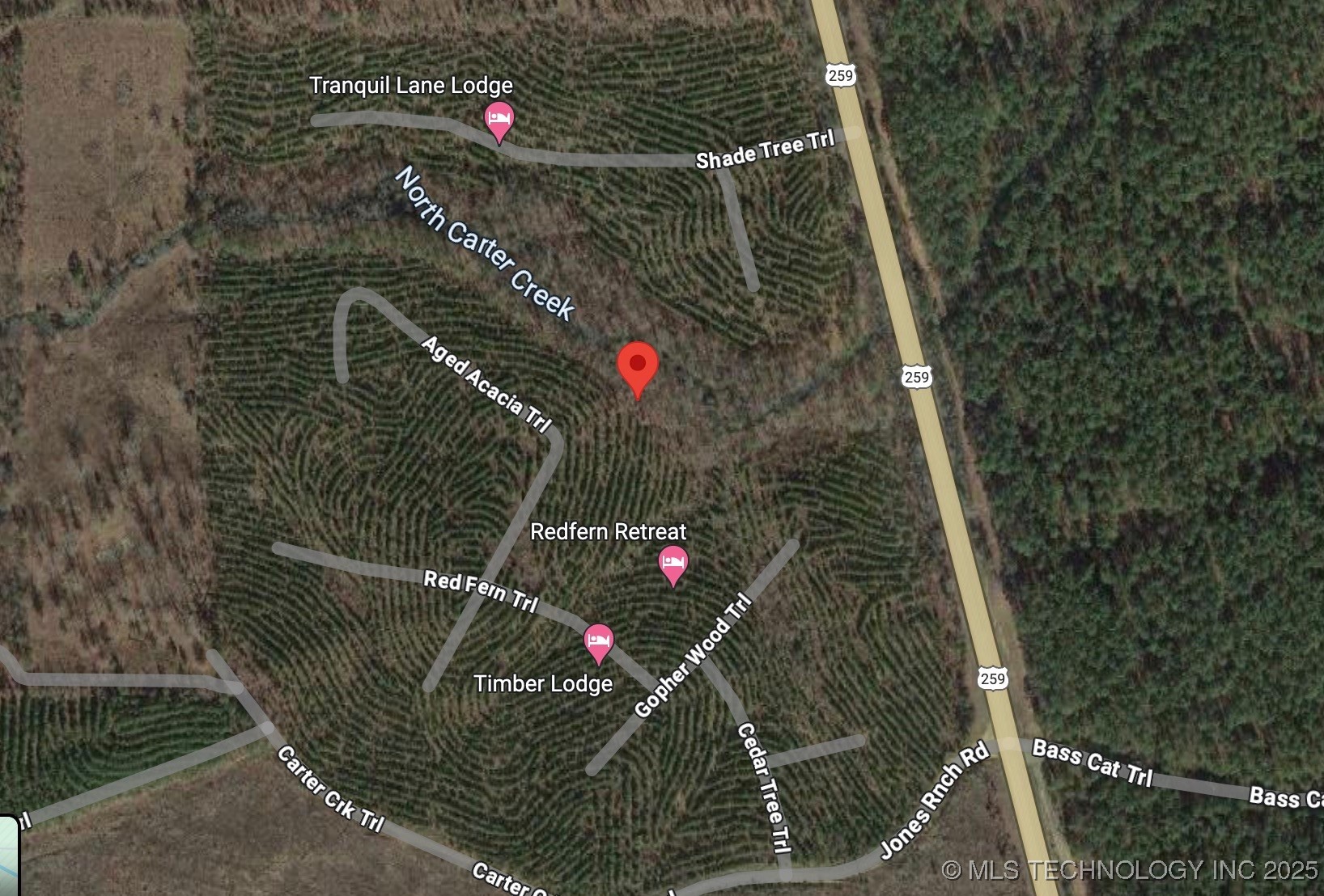 66 Aged Acacia Trail Property Photo 14