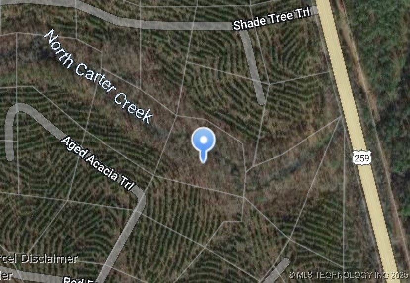 66 Aged Acacia Trail Property Photo 15